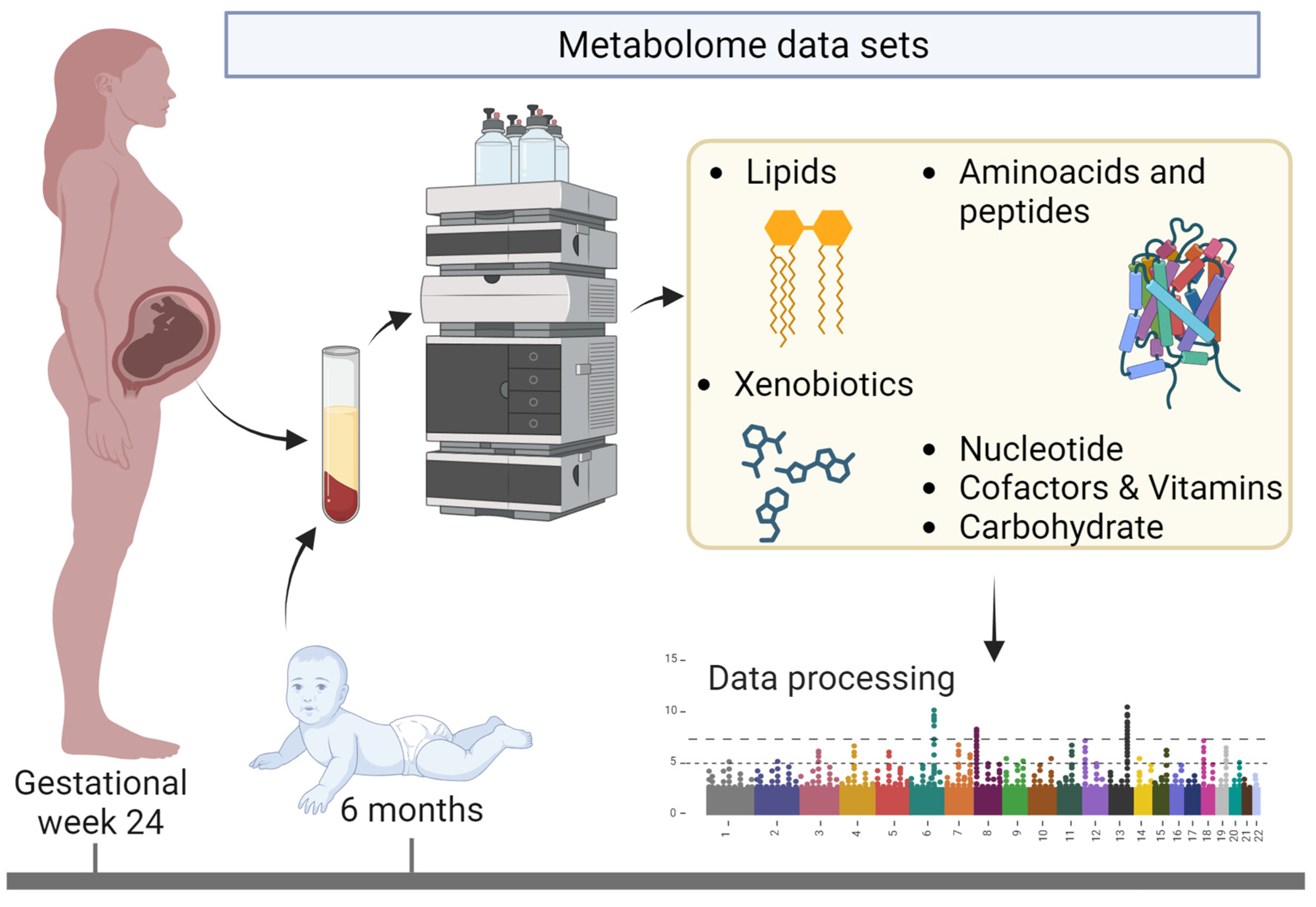 Metabolites 14 00136 g001