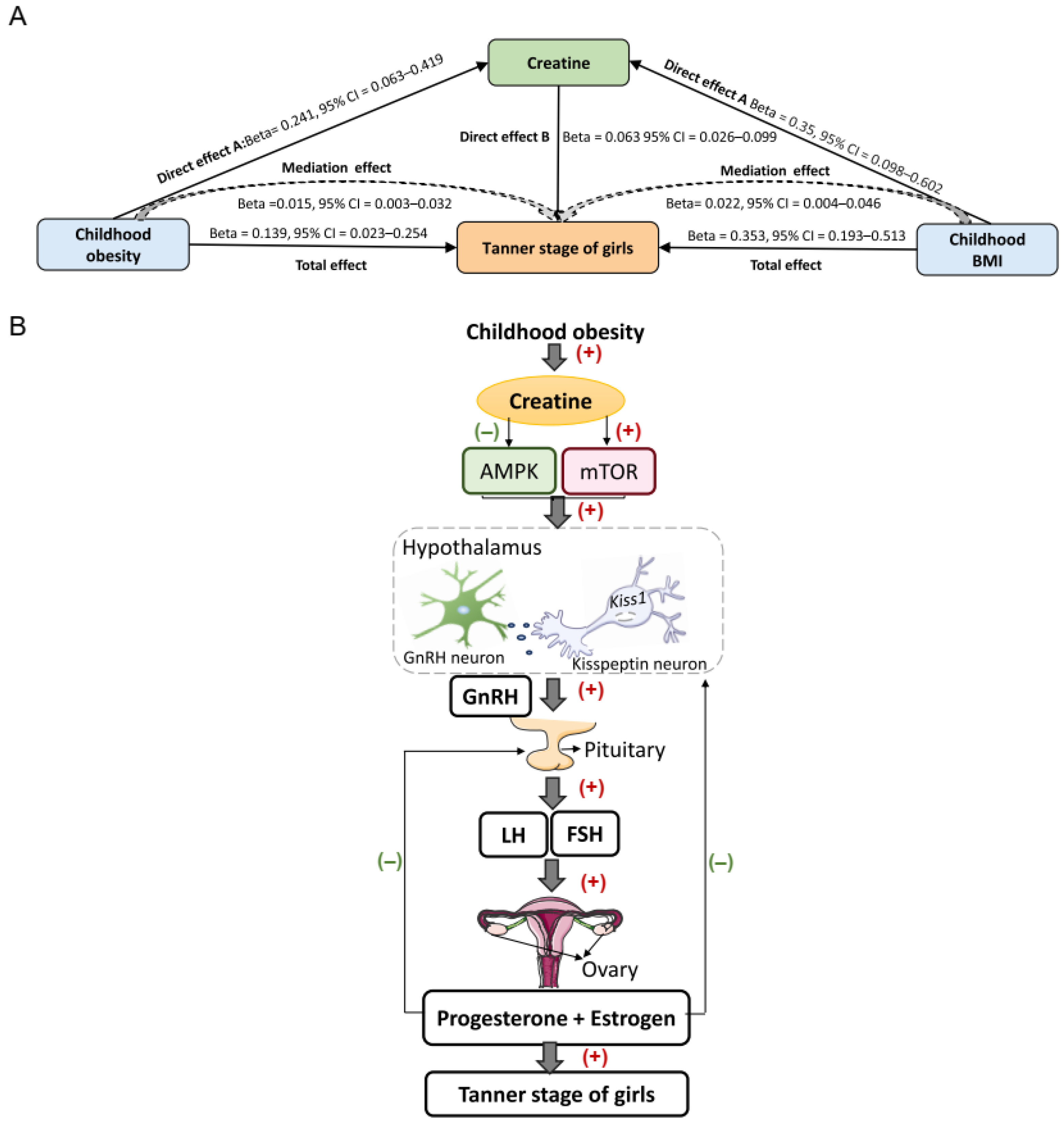 Metabolites 14 00137 g006