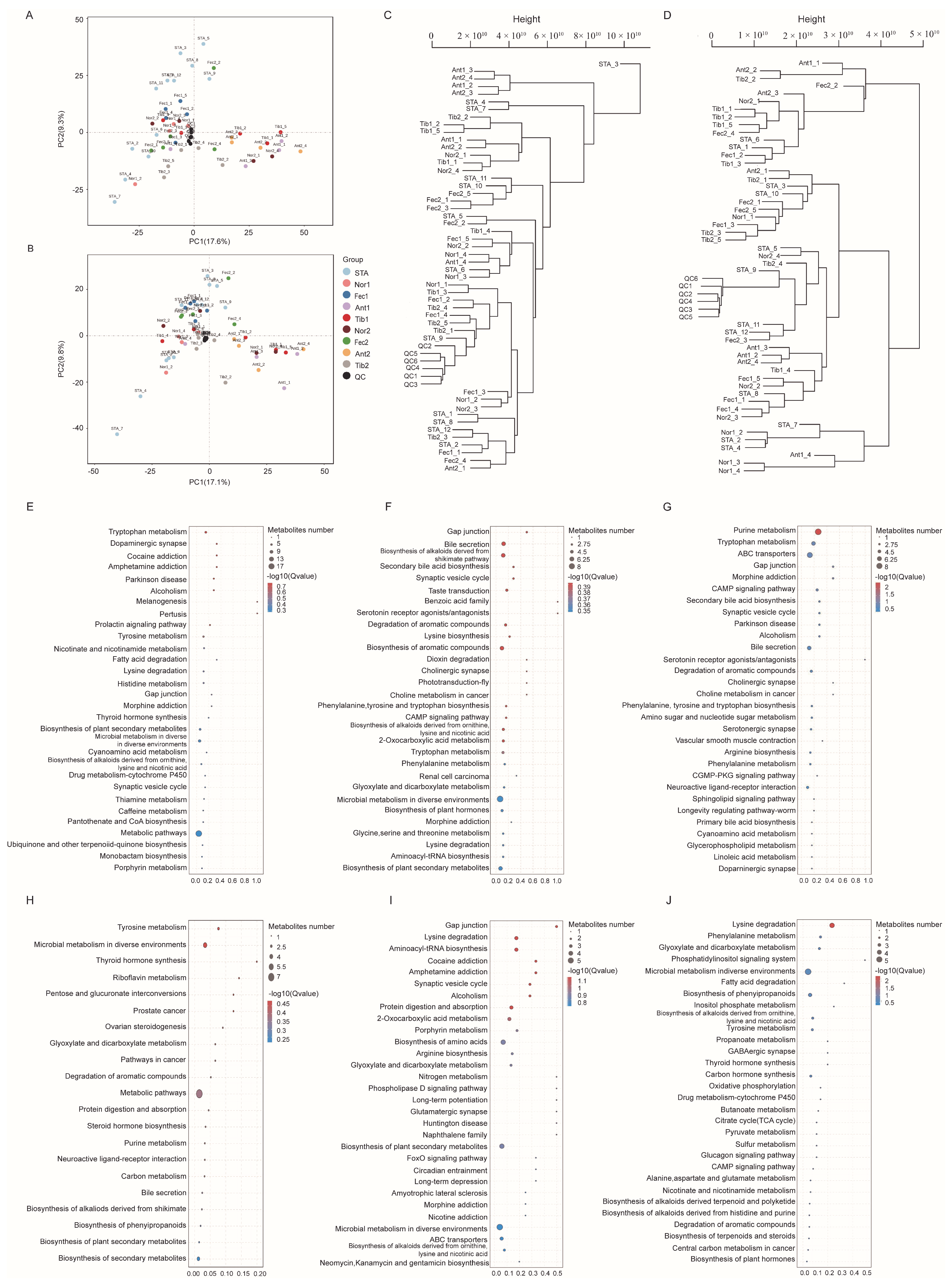 Metabolites 14 00138 g001