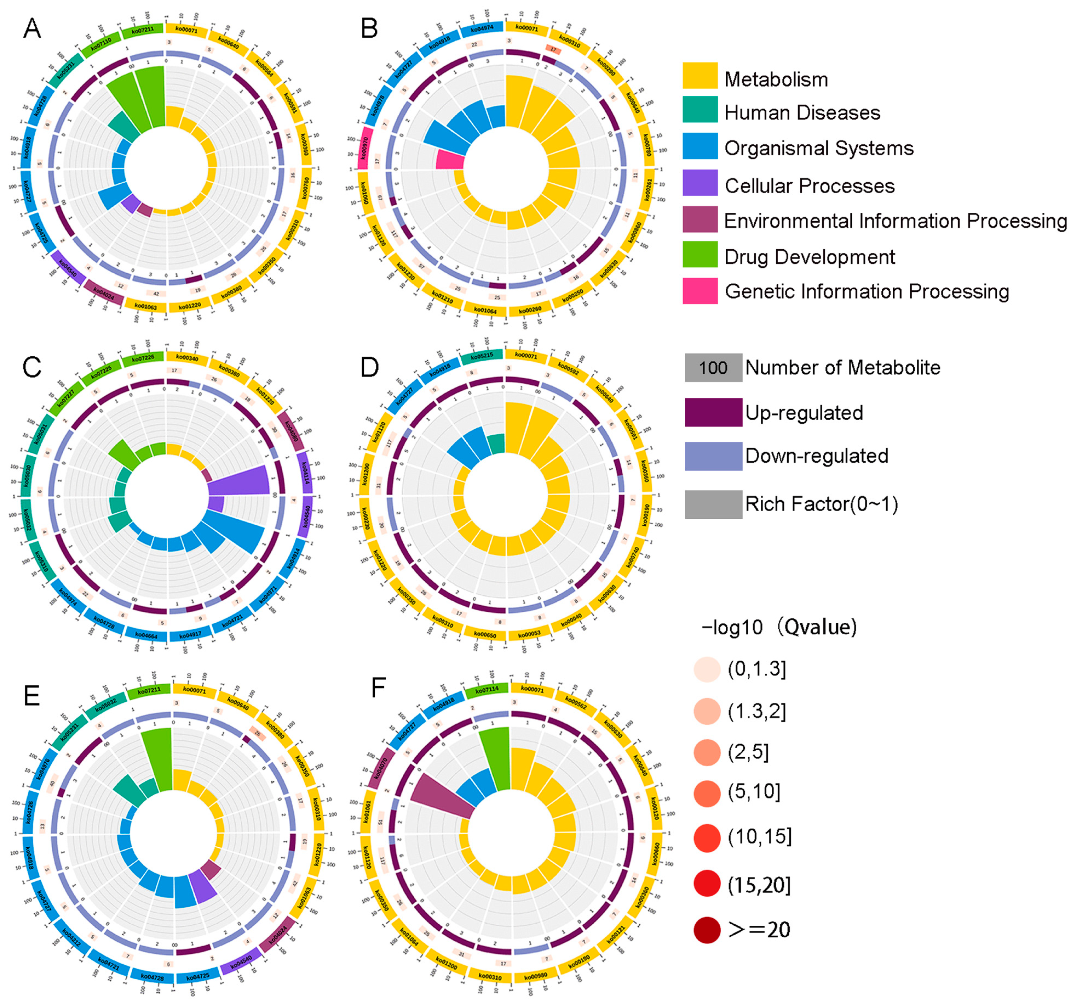 Metabolites 14 00138 g002