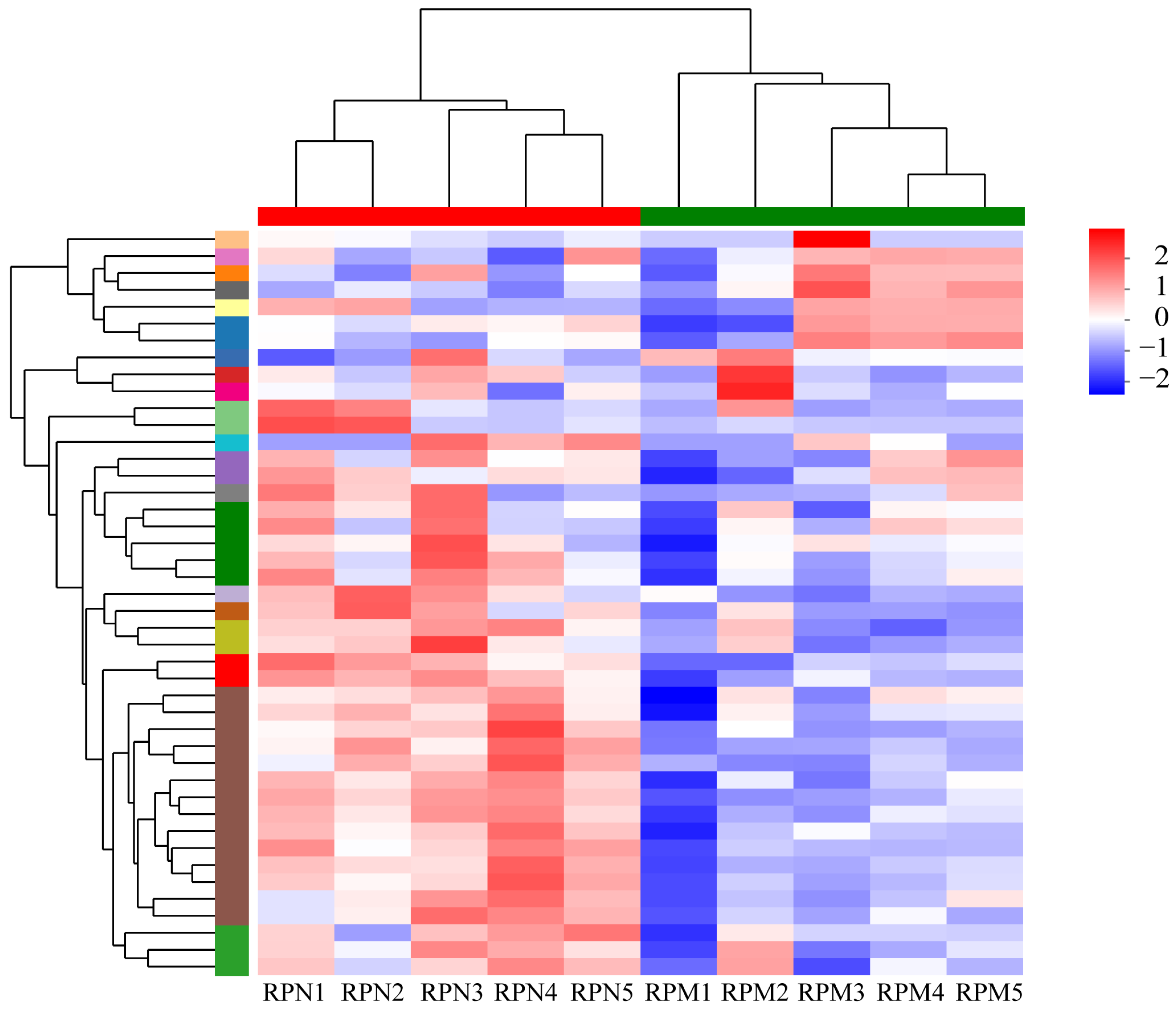 Metabolites 14 00150 g002 Metabolites 14 00150 g002