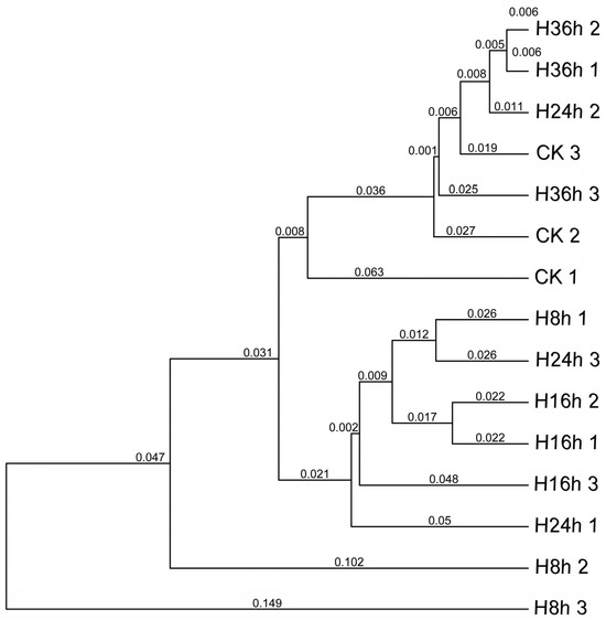 Unravel the Supremacy of Klebsiella variicola over Native Unravel the Supremacy of Klebsiella variicola over Native
