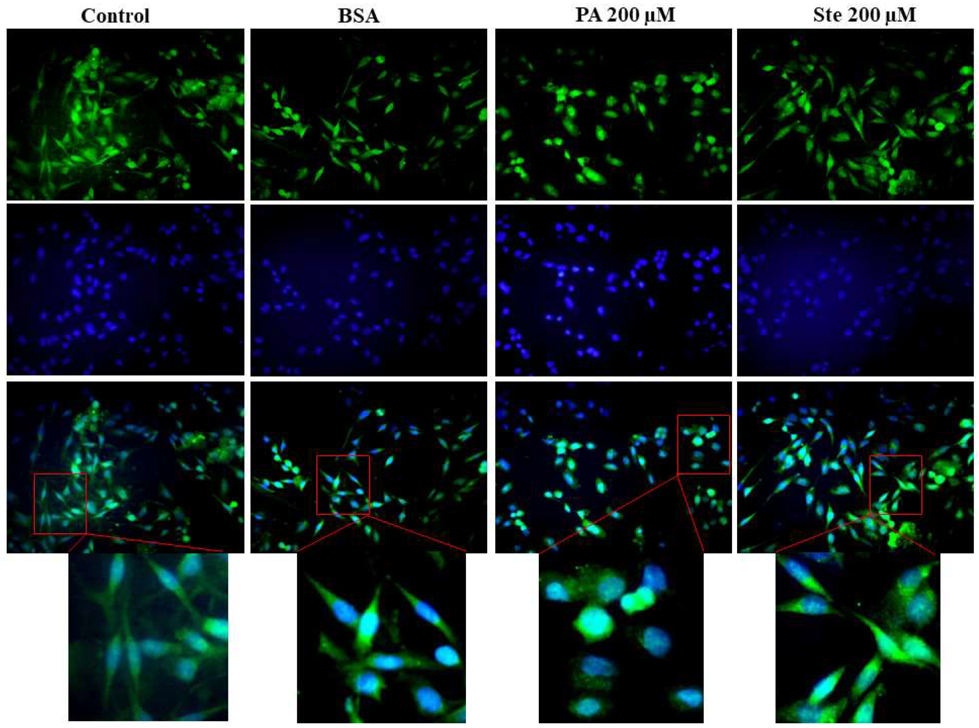 Metabolites 14 00161 g002