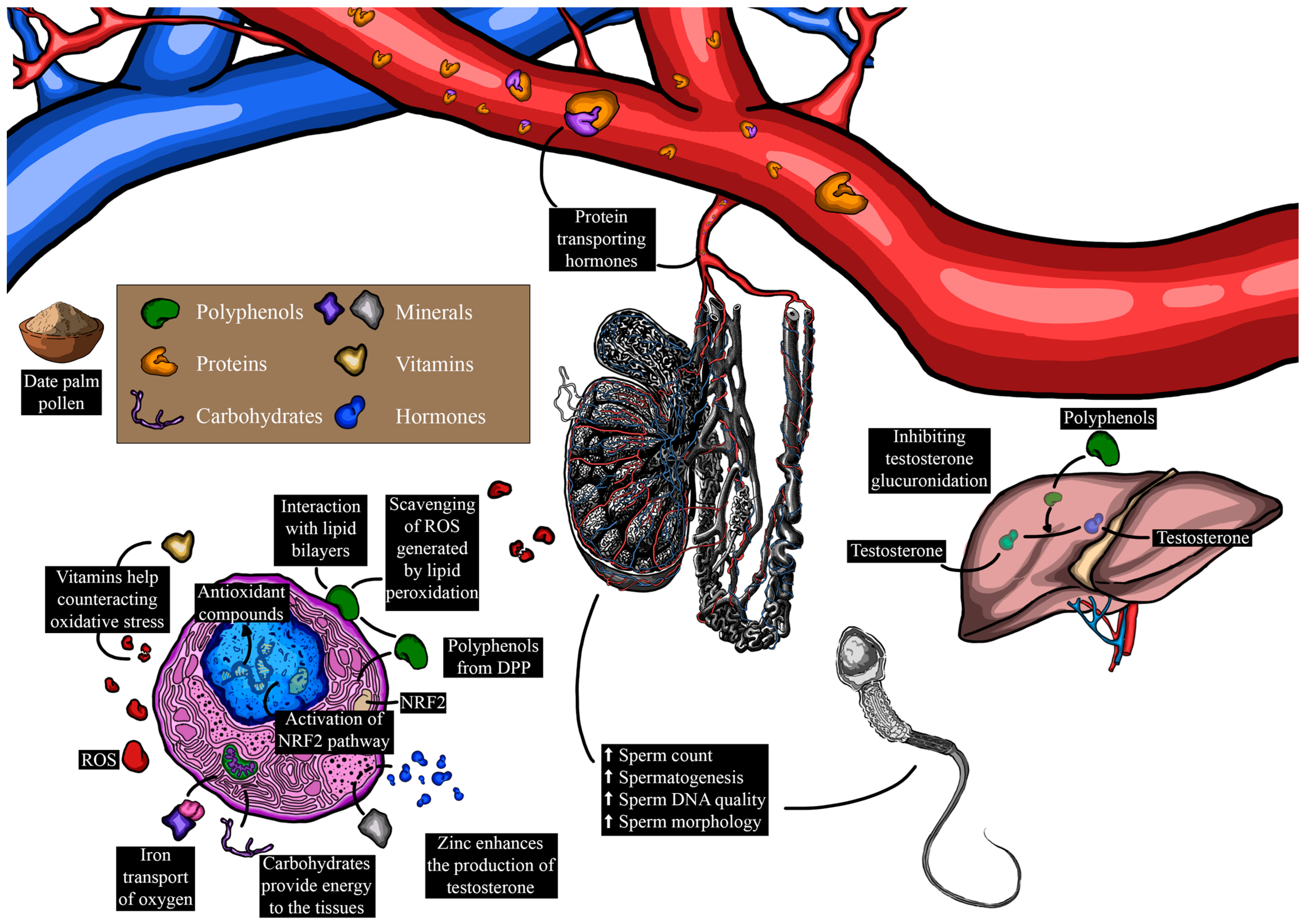 Metabolites 14 00166 g006