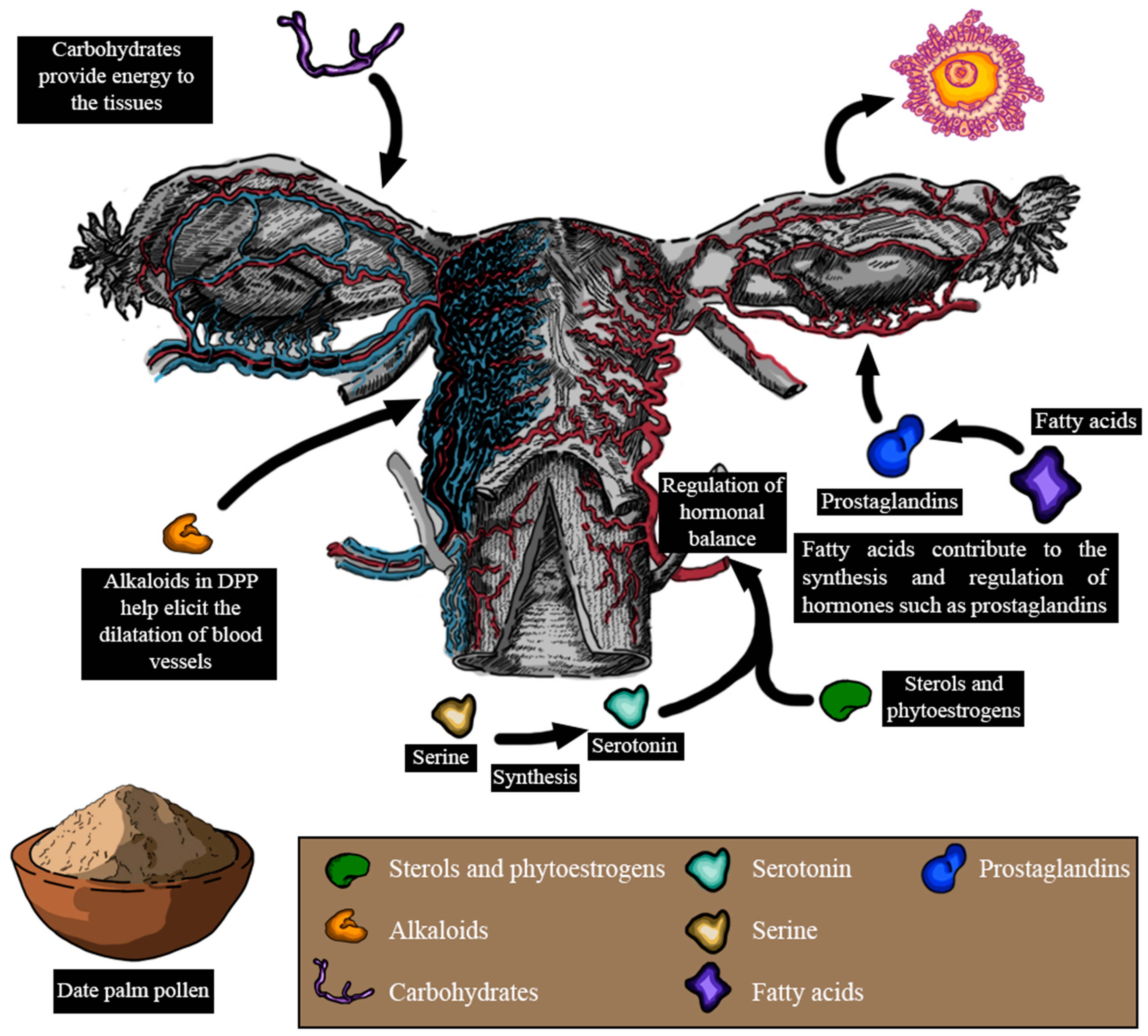 Metabolites 14 00166 g007