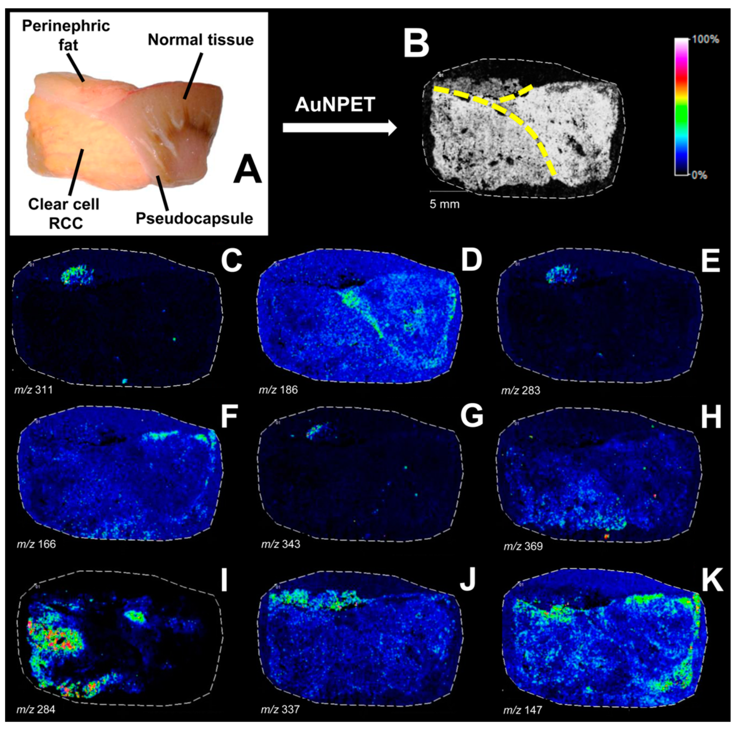 Metabolites 14 00173 g004 Metabolites 14 00173 g004