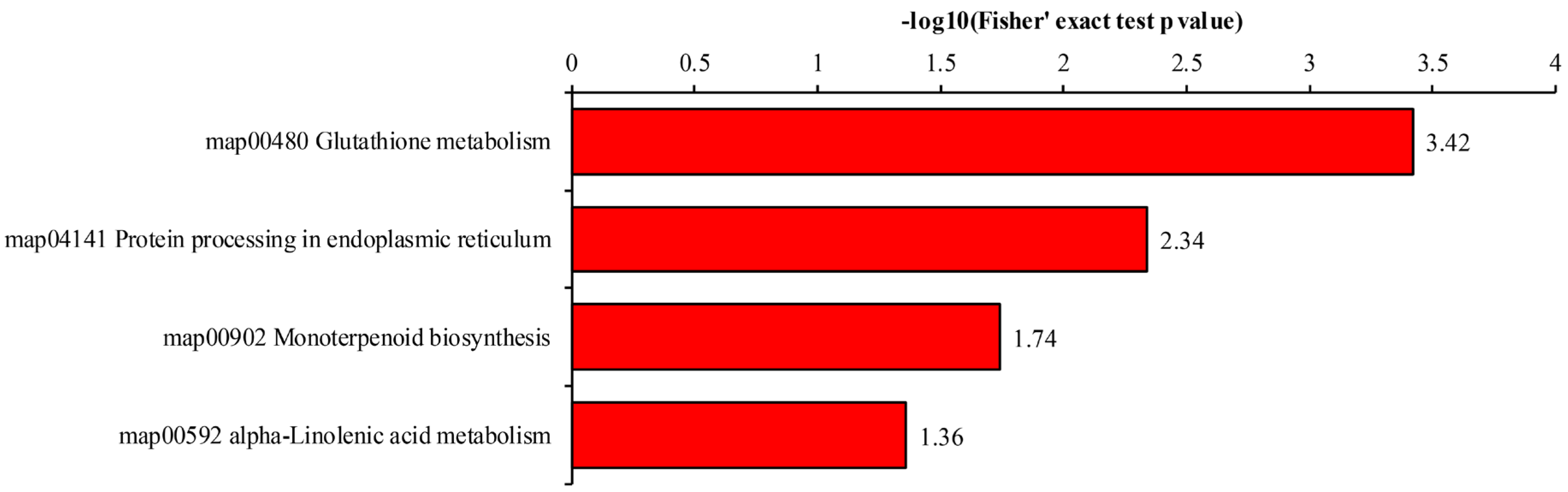 Metabolites 14 00175 g005