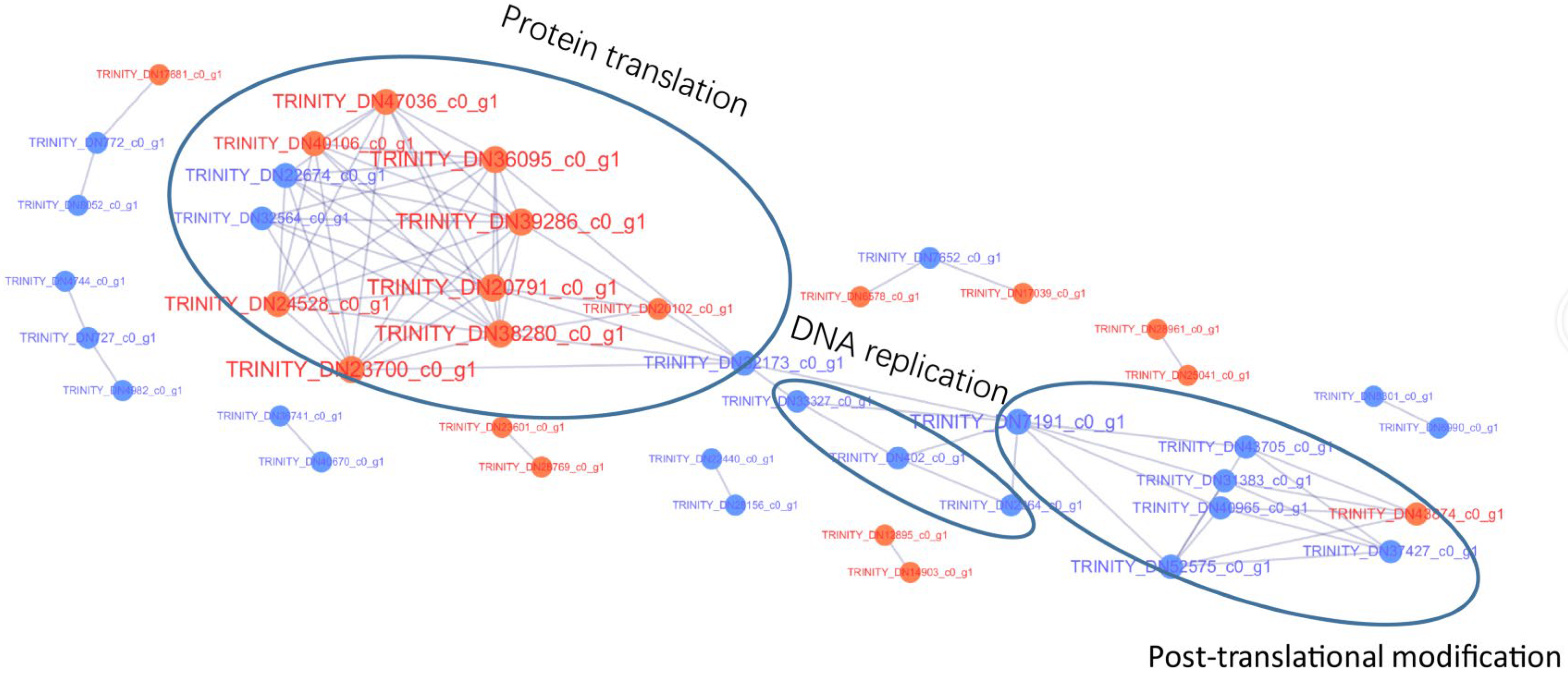 Metabolites 14 00175 g006