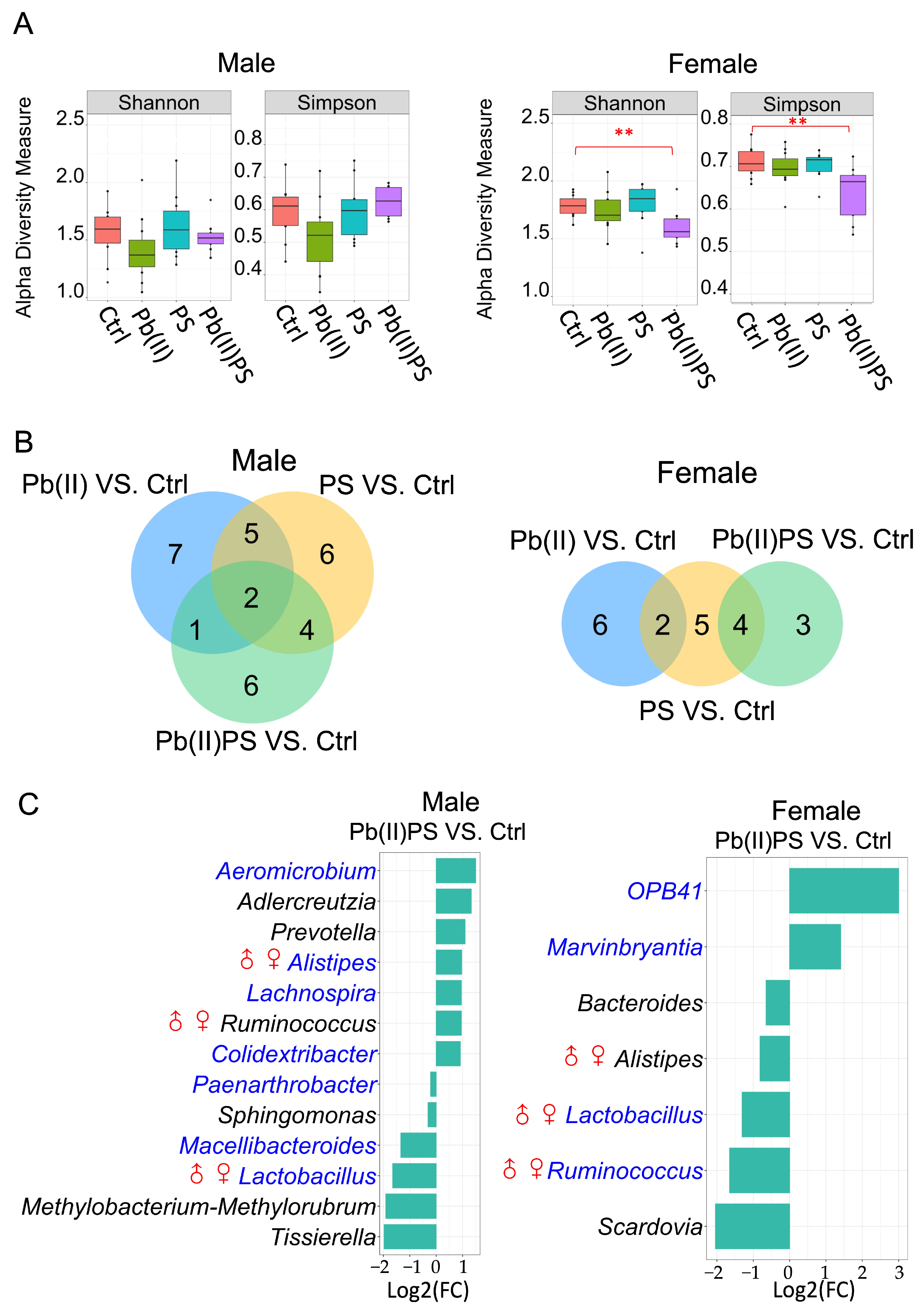 Metabolites 14 00189 g001