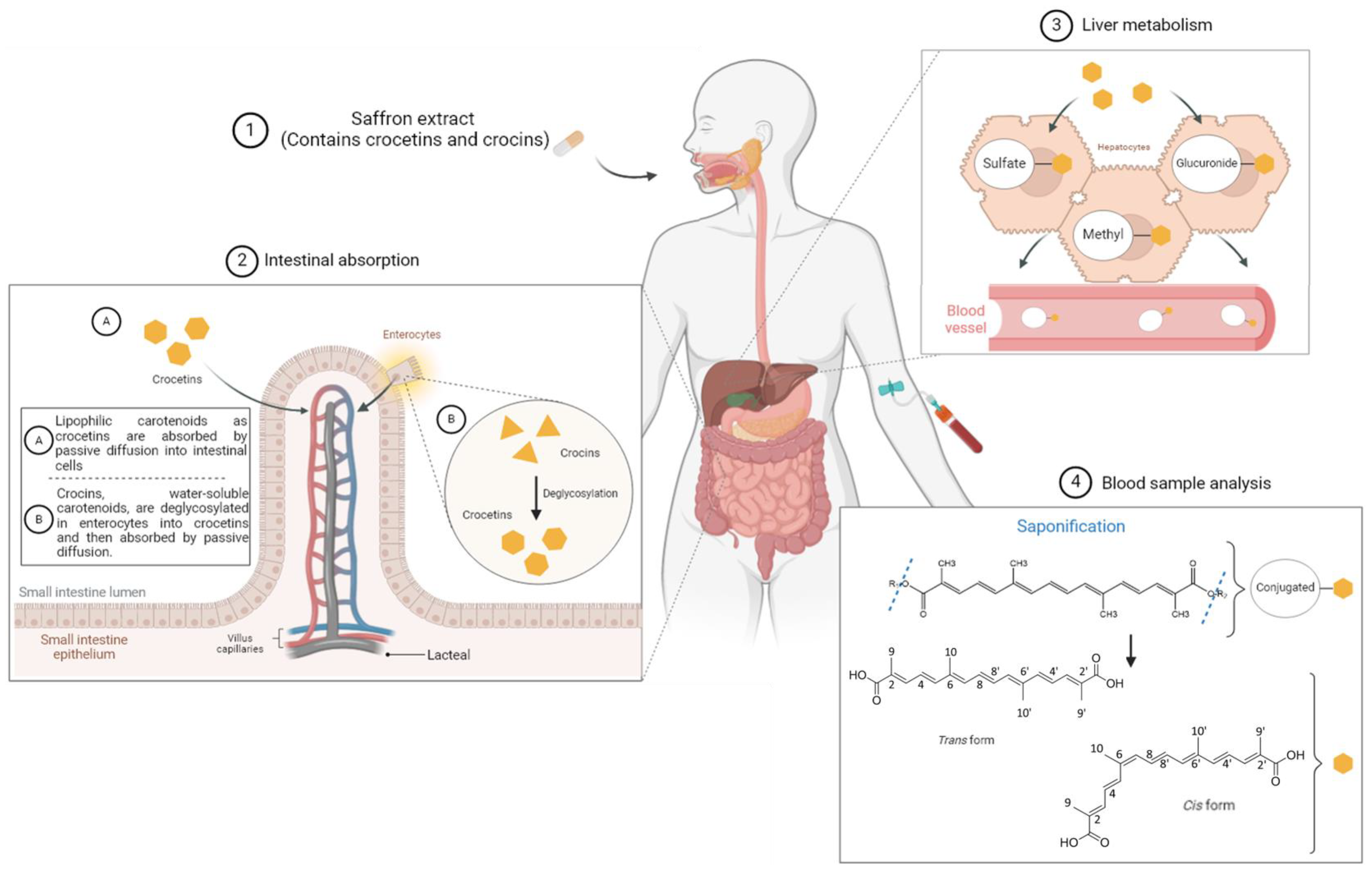 Metabolites 14 00190 sch001