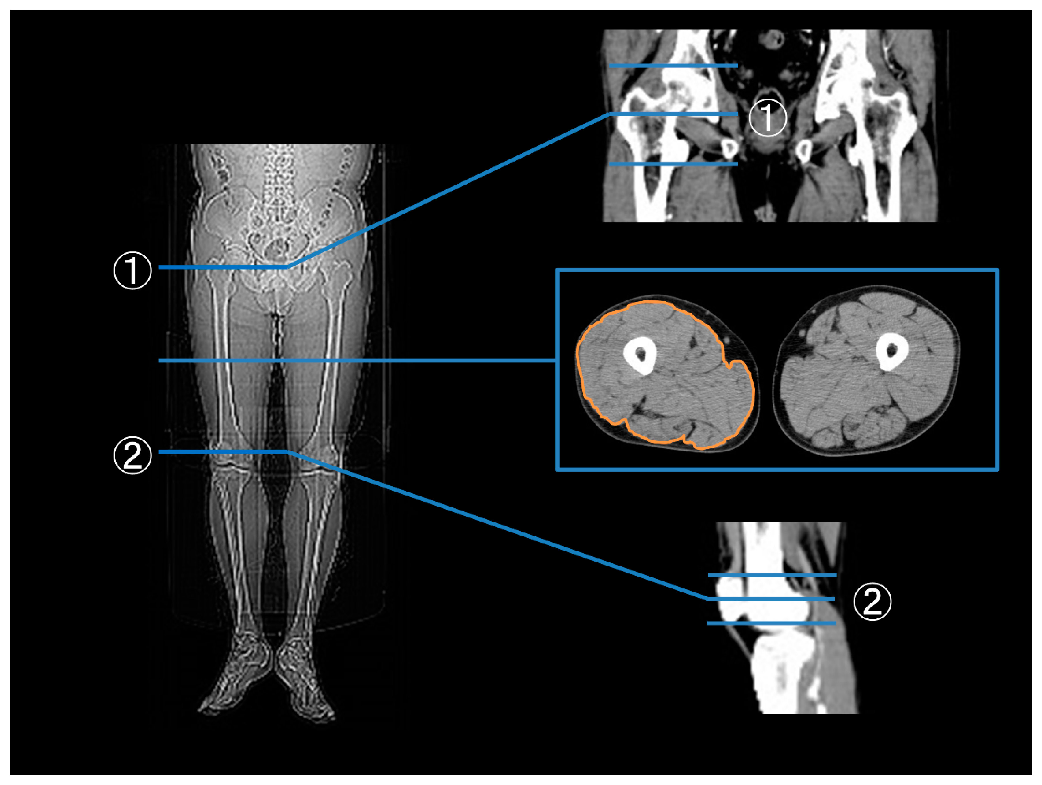 Metabolites 14 00192 g001