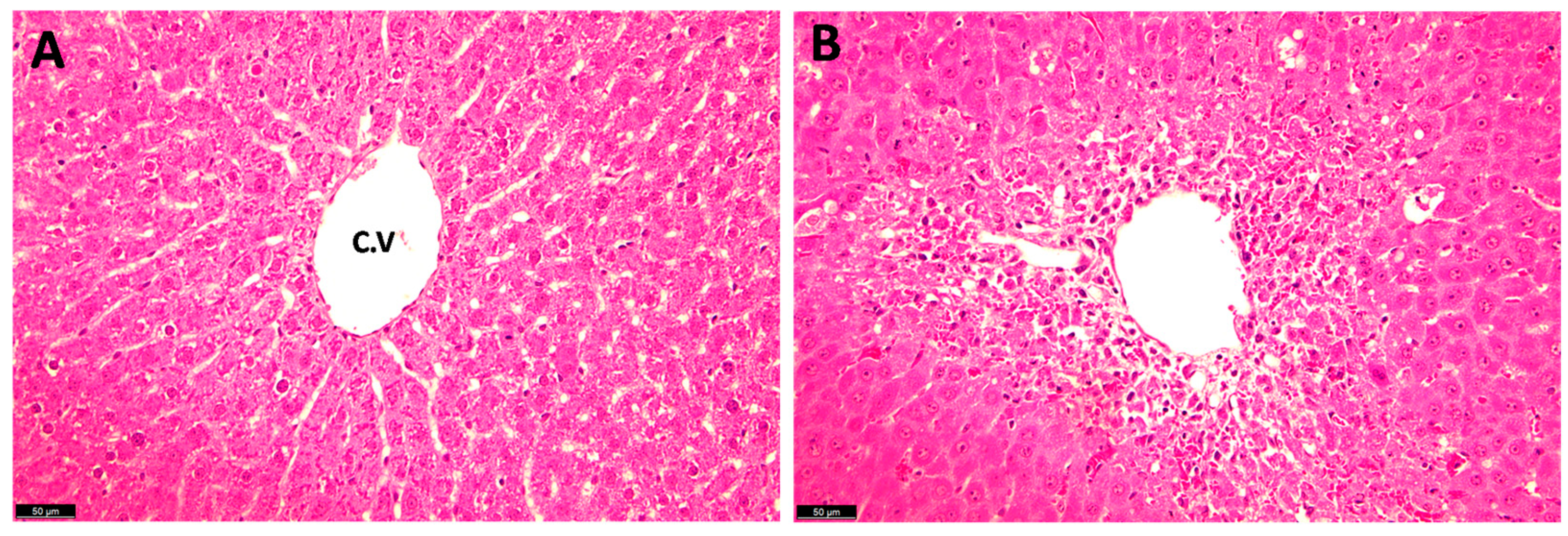 Metabolites 14 00193 g004