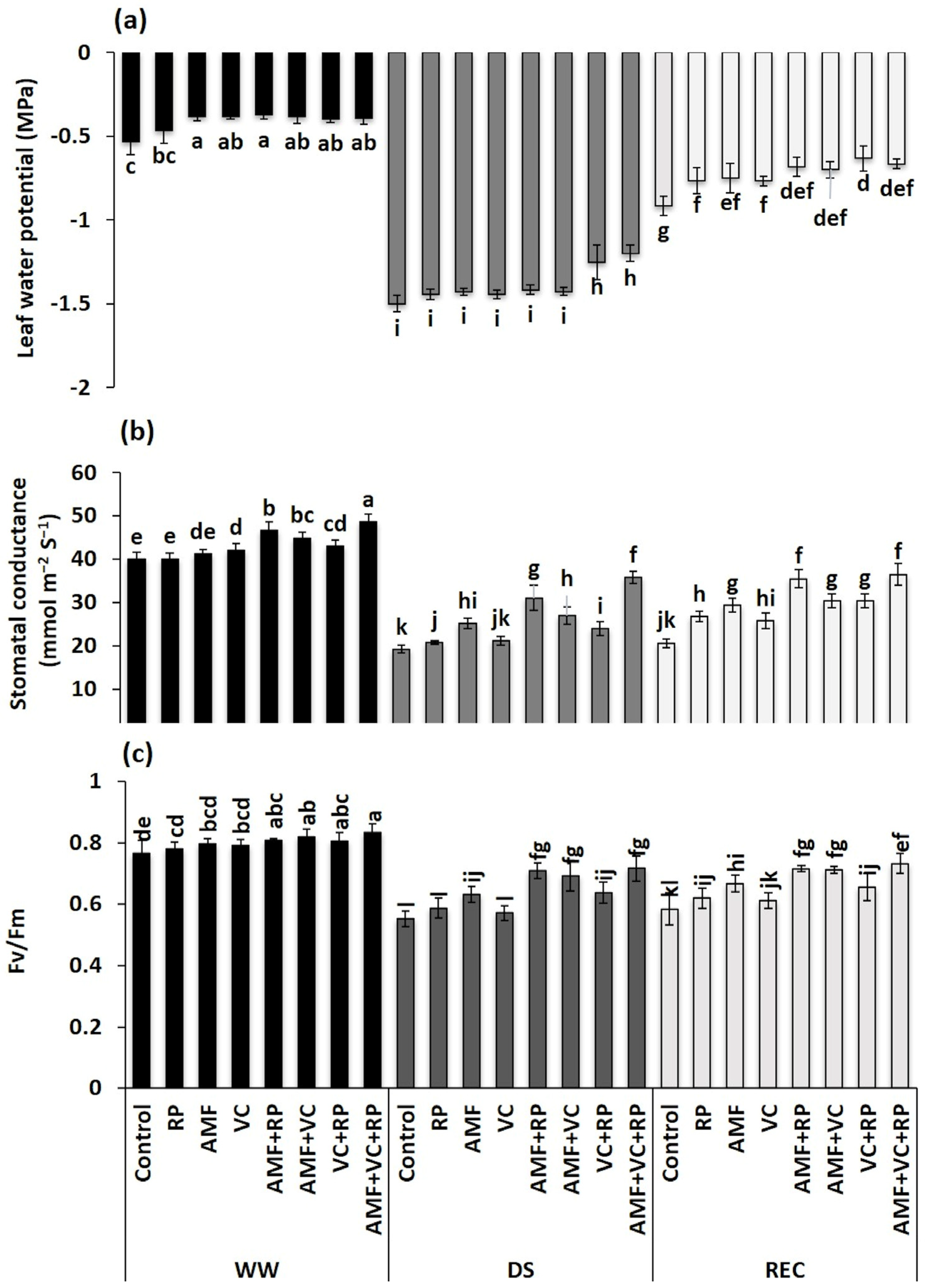 Metabolites 14 00202 g001