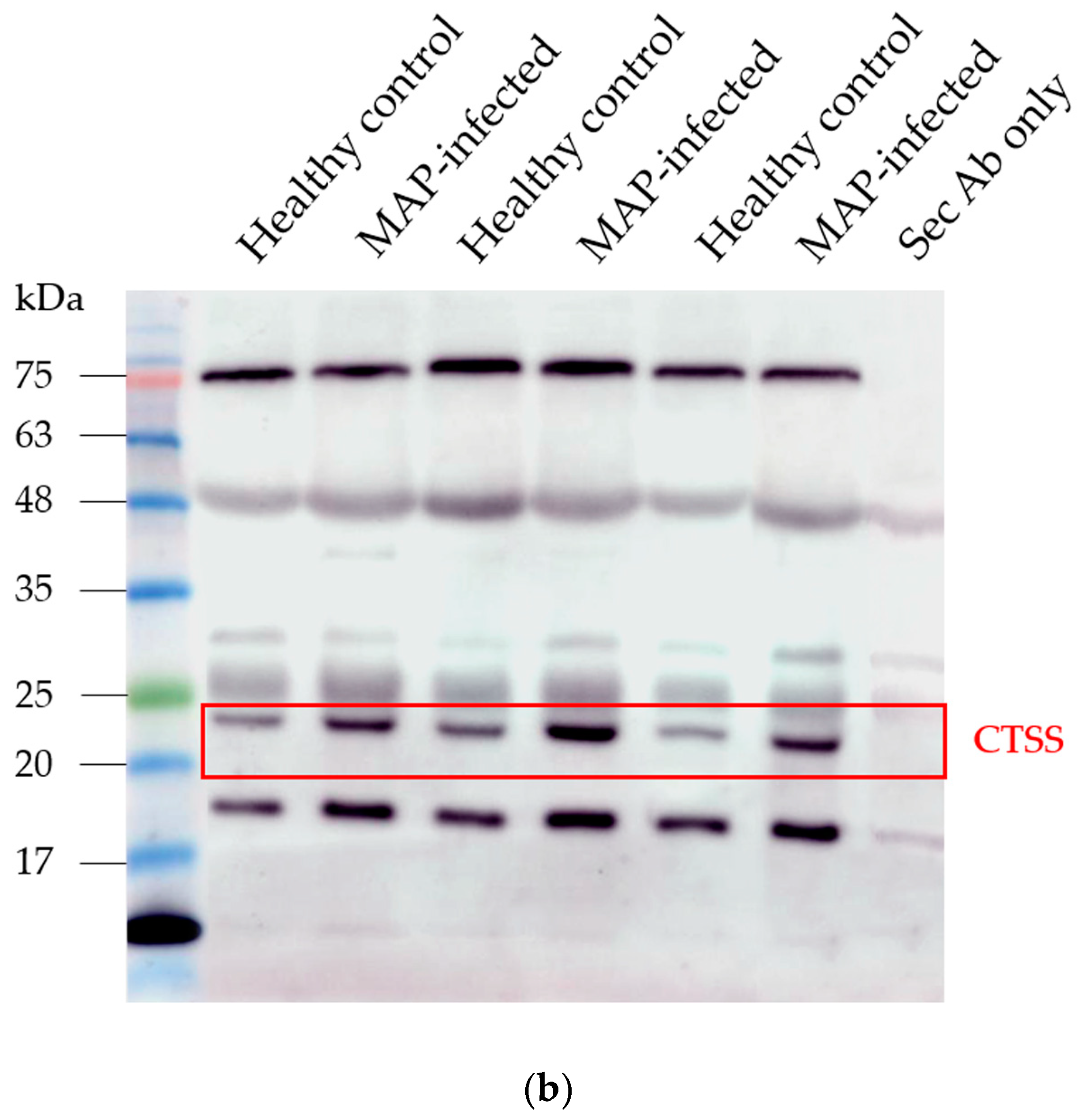 Metabolites 14 00215 g005b Metabolites 14 00215 g005b