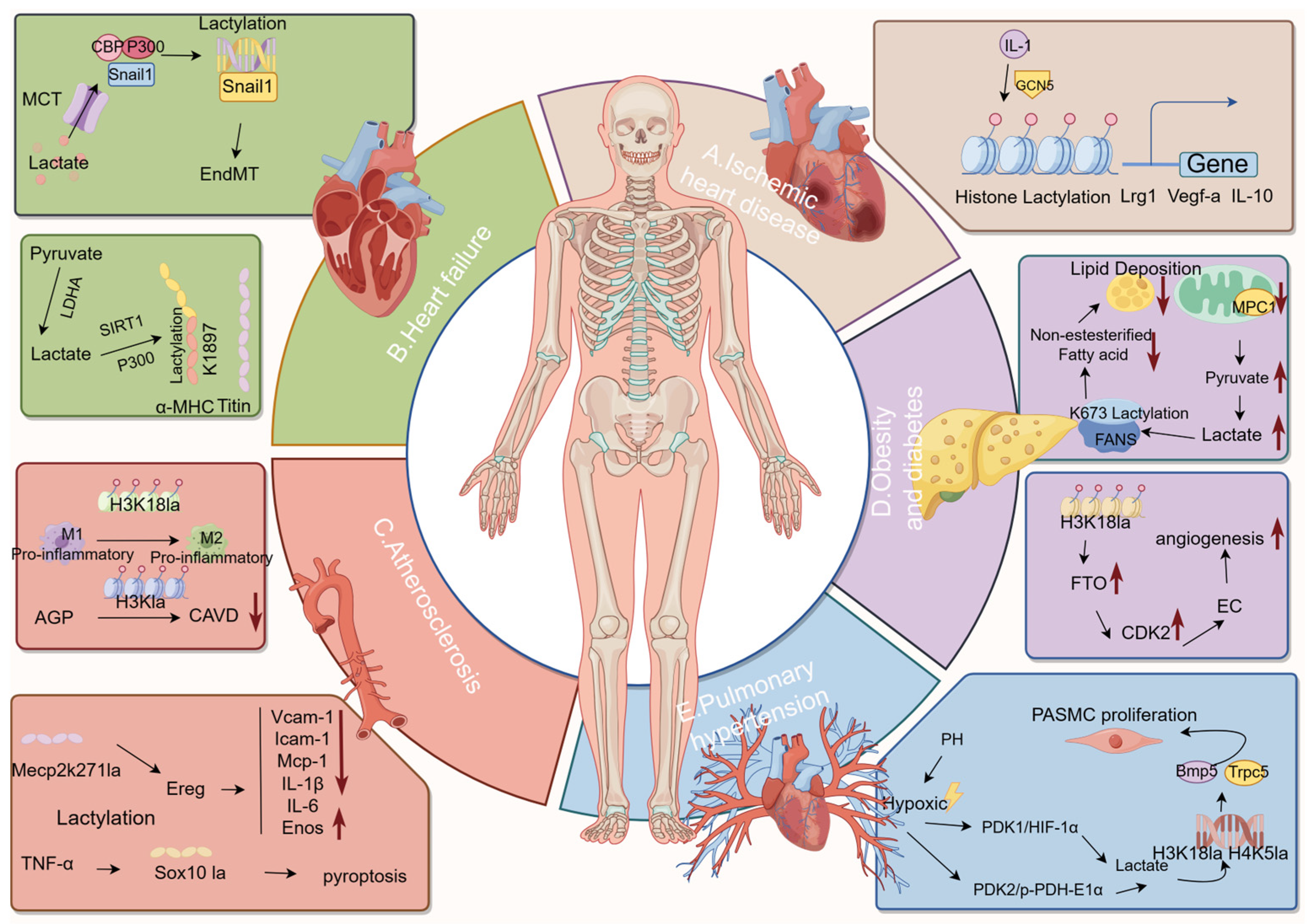 Metabolites 14 00217 g002