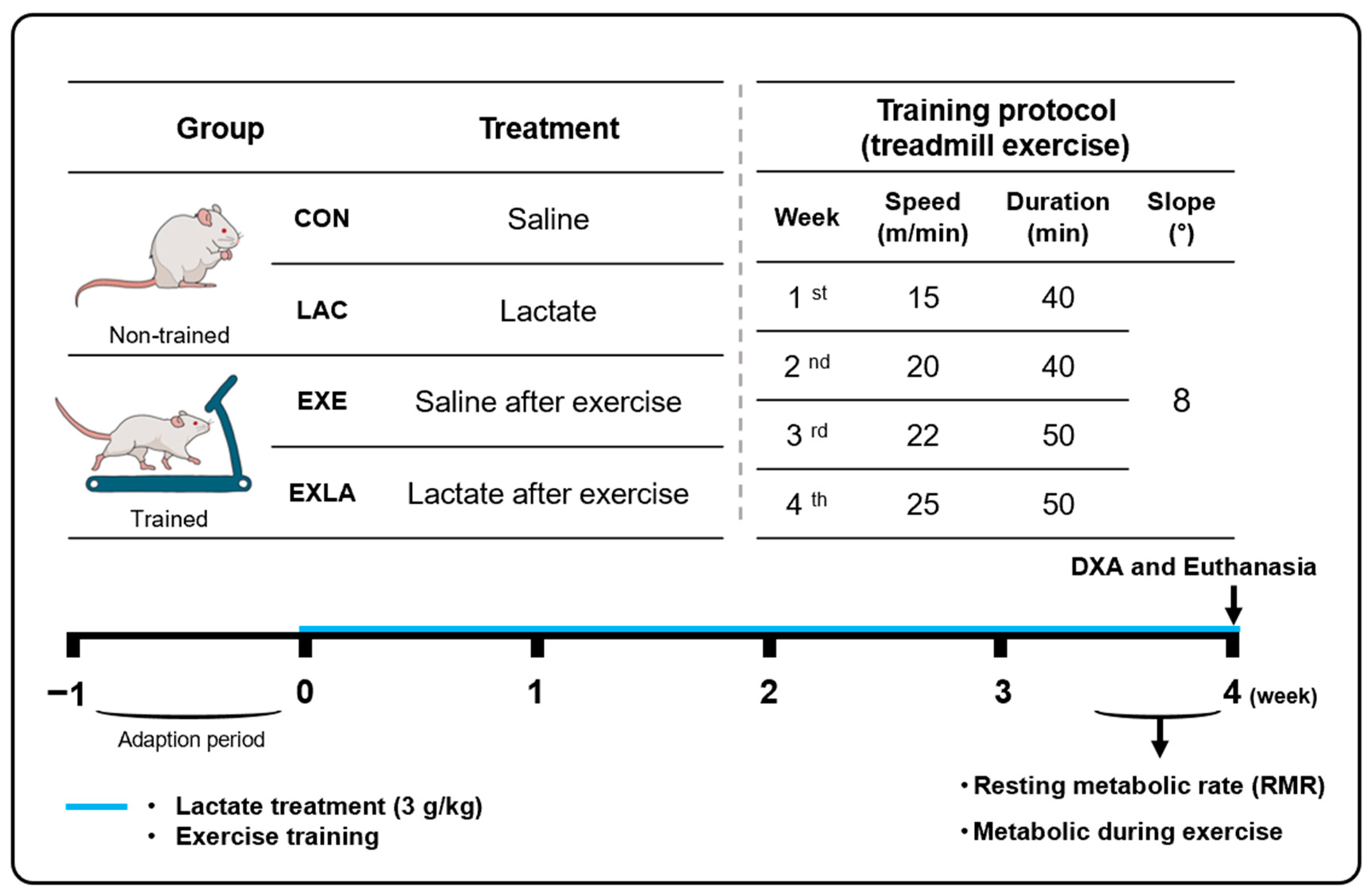 Metabolites 14 00220 g001