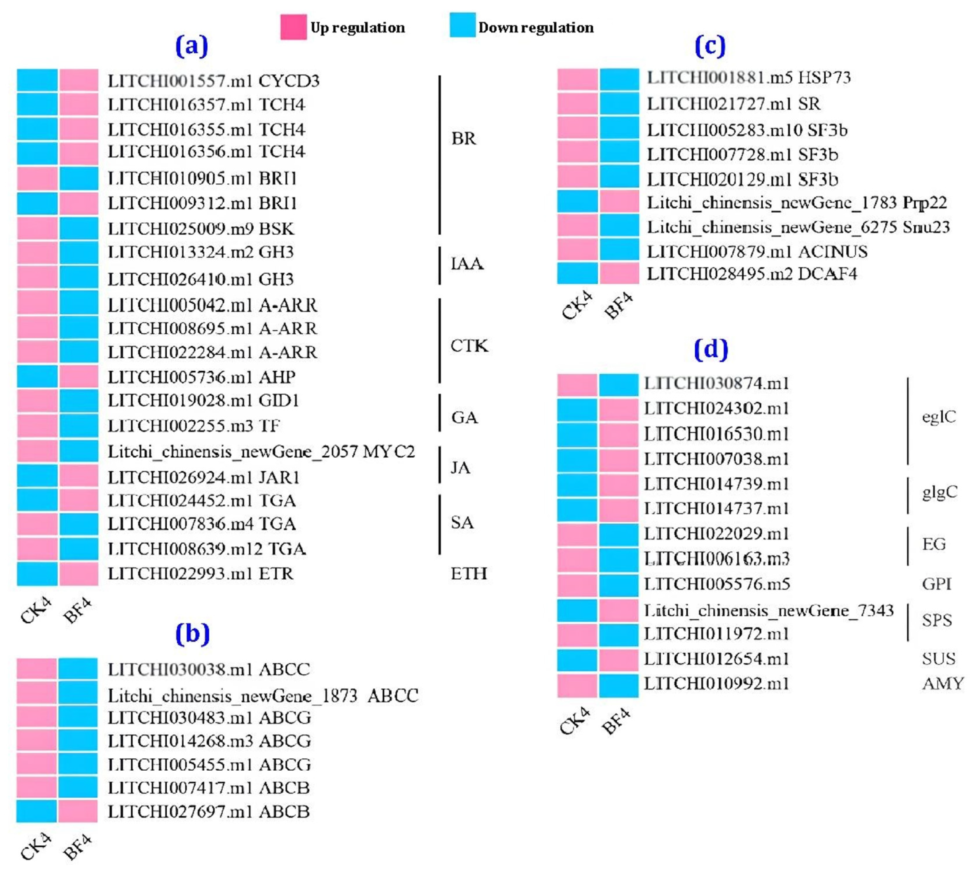 Metabolites 14 00223 g010