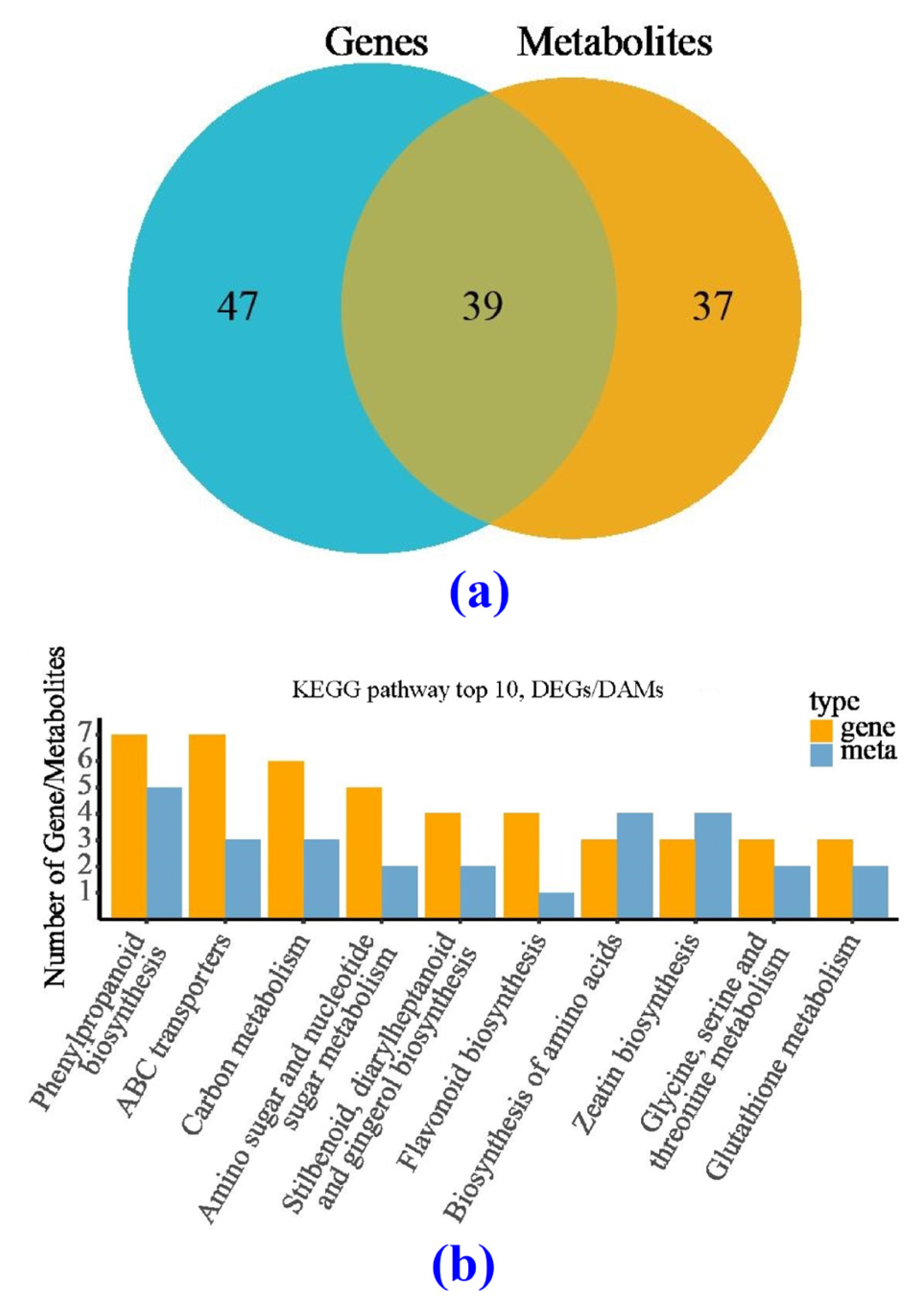 Metabolites 14 00223 g012
