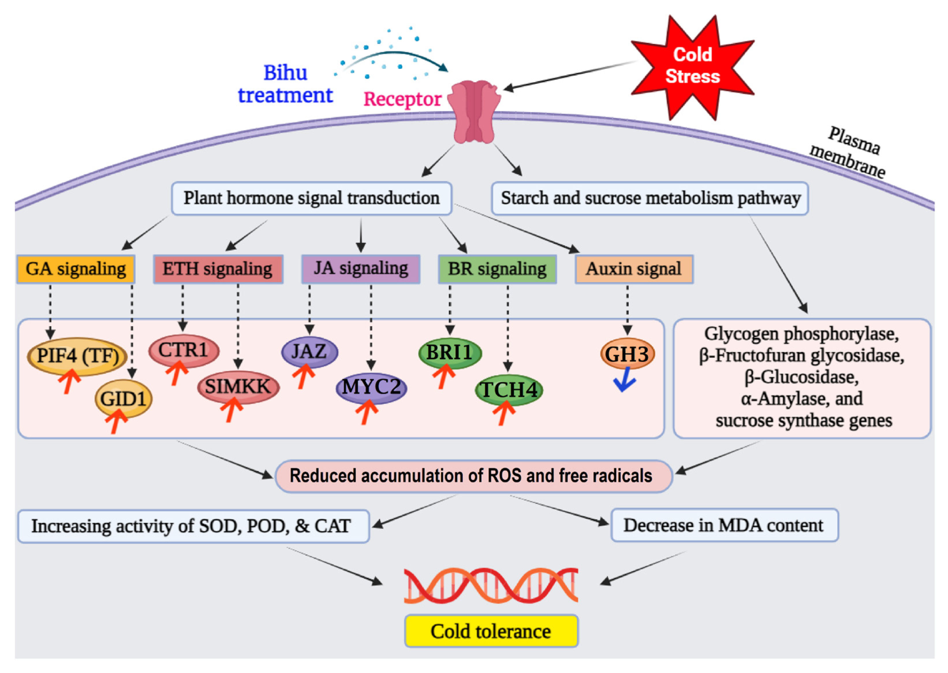 Metabolites 14 00223 g014