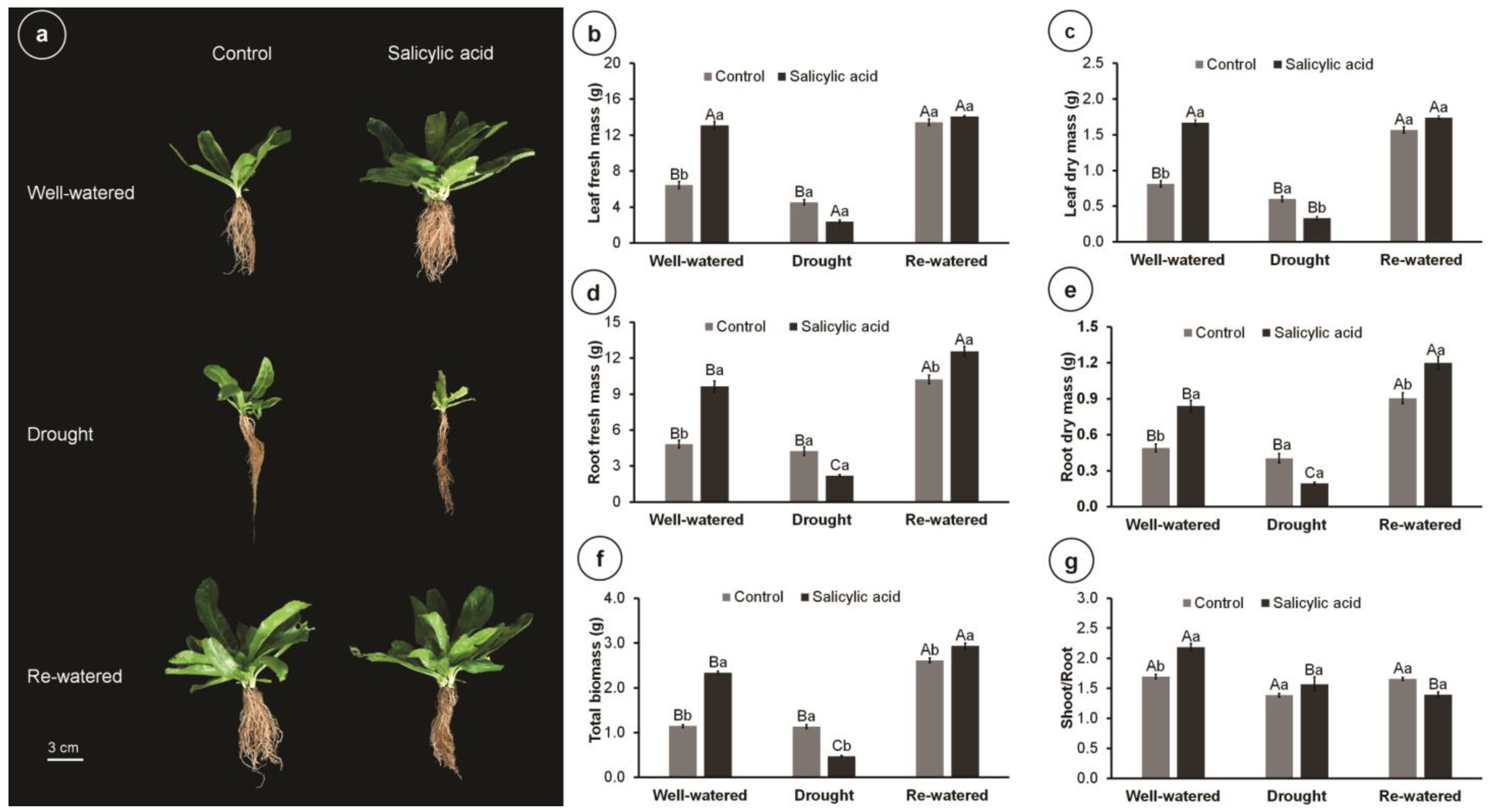 Metabolites 14 00241 g001 Metabolites 14 00241 g001