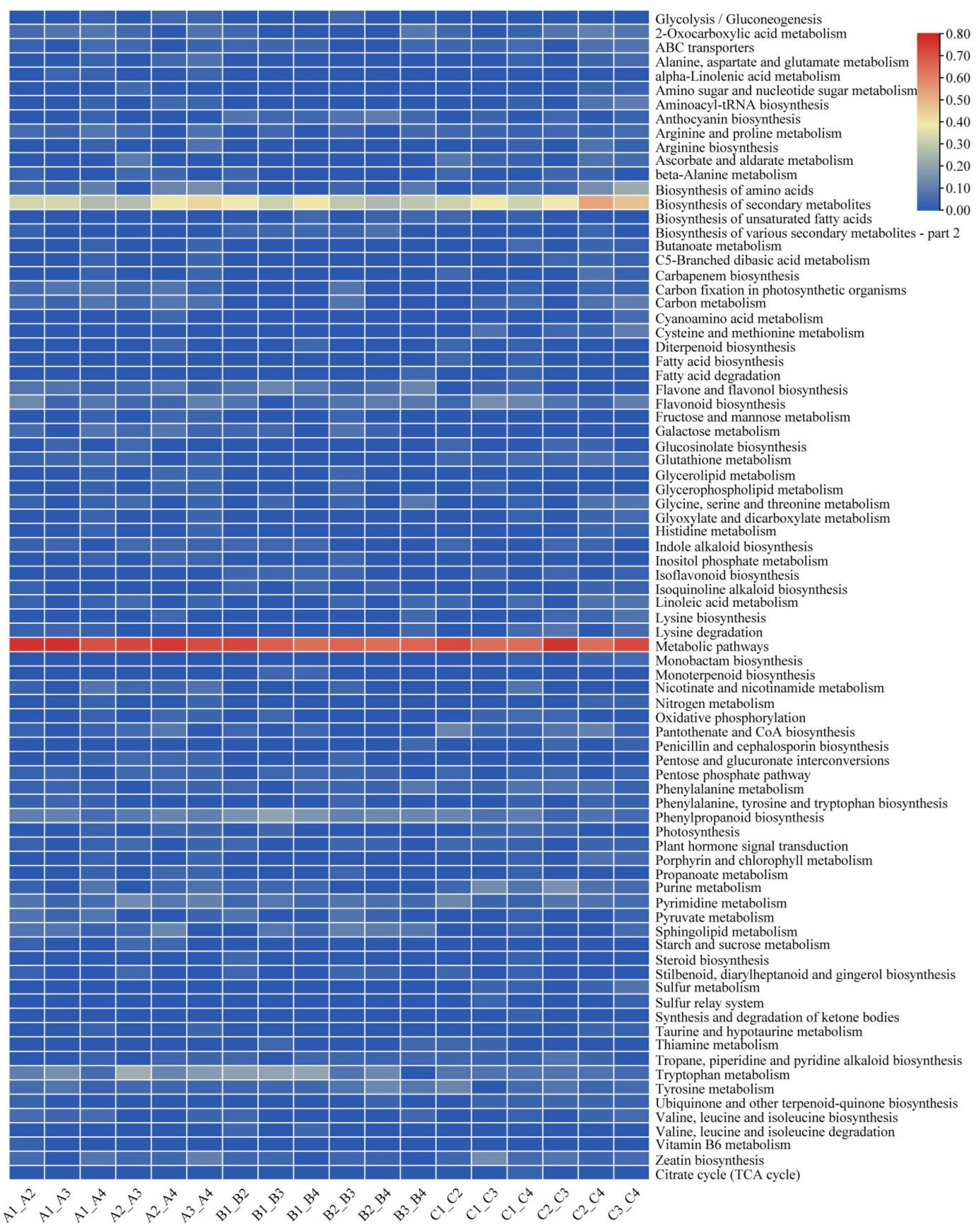 Metabolites 14 00242 g005