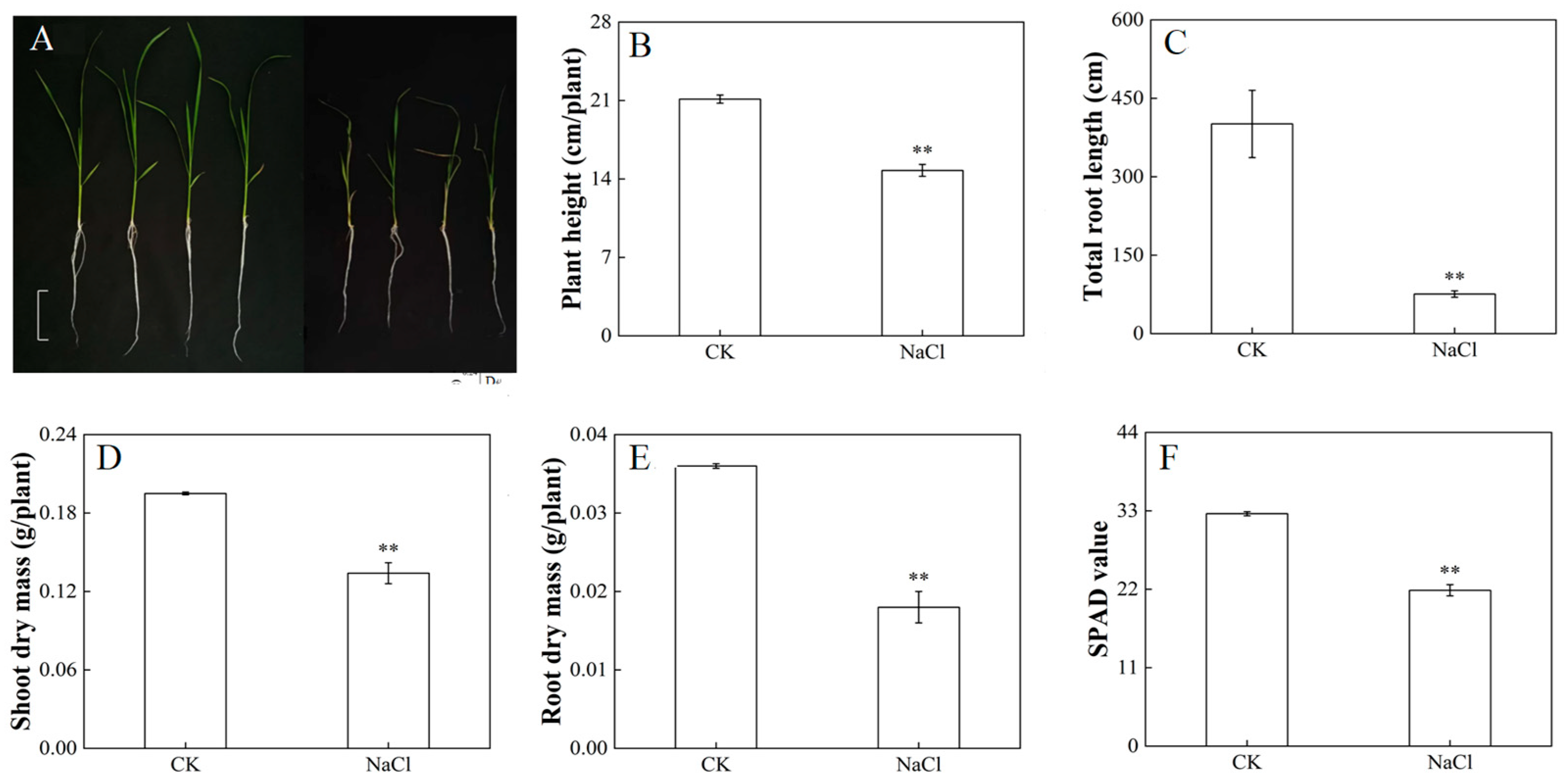 Metabolites 14 00244 g001