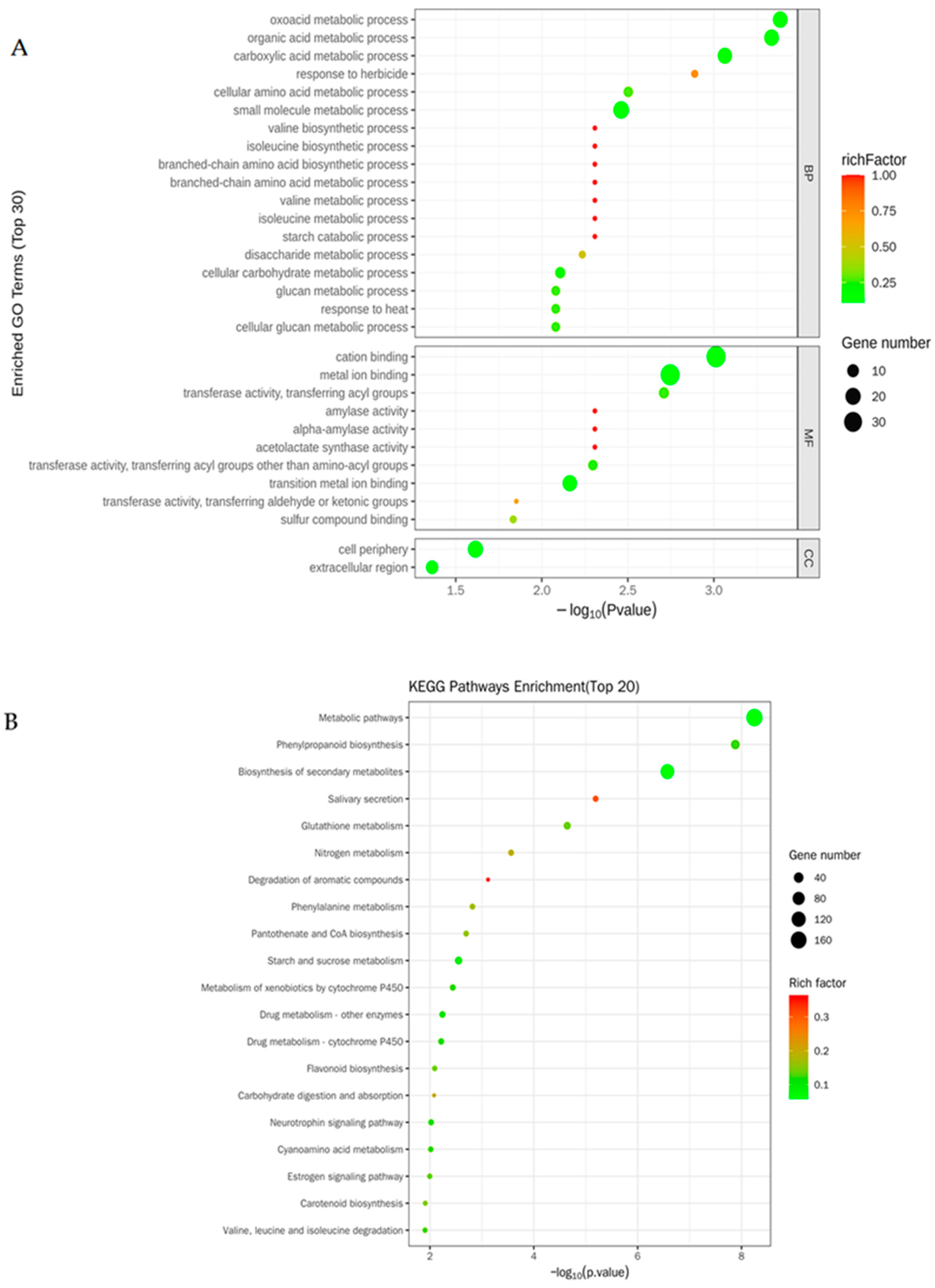 Metabolites 14 00244 g004
