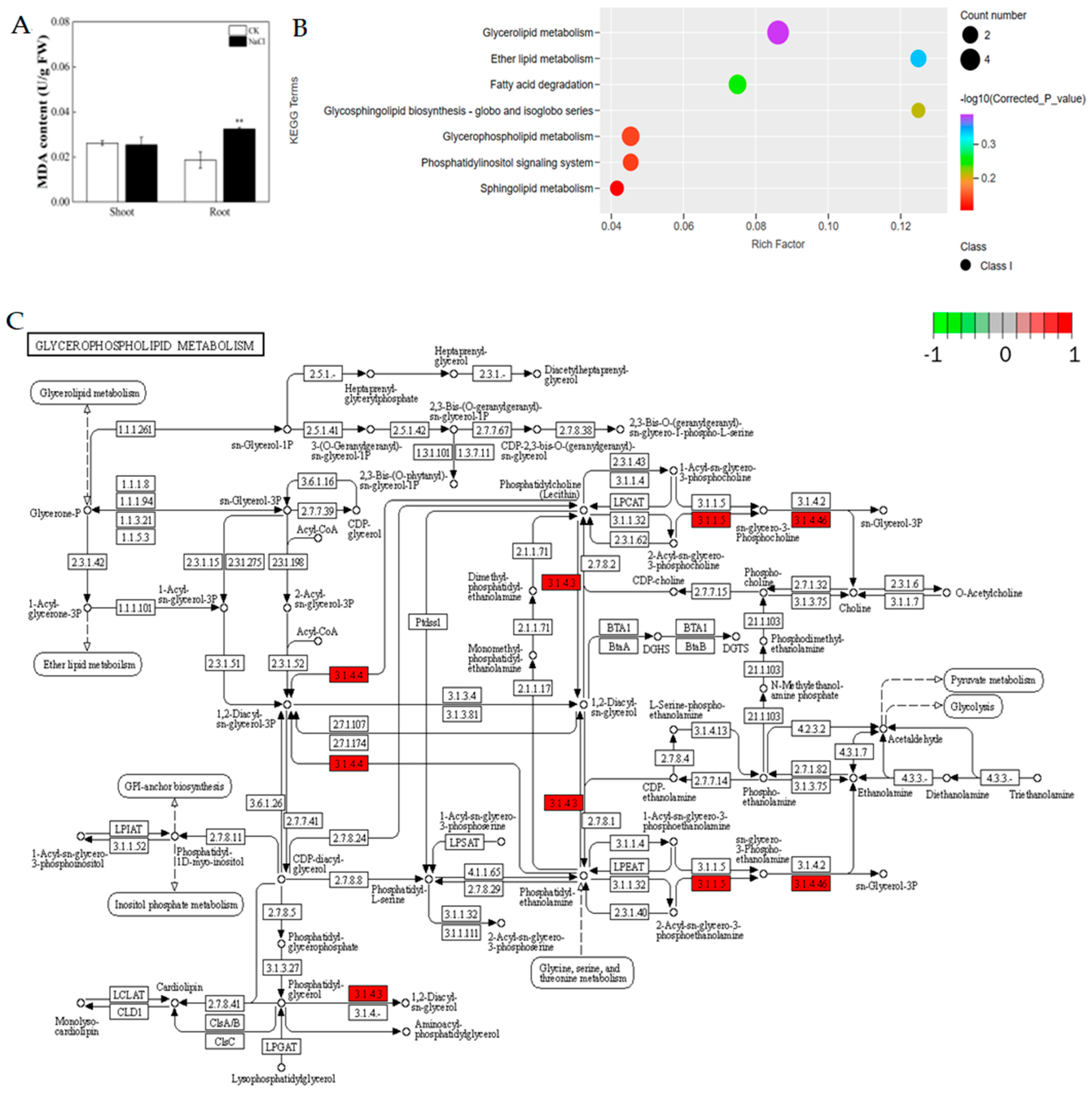 Metabolites 14 00244 g005