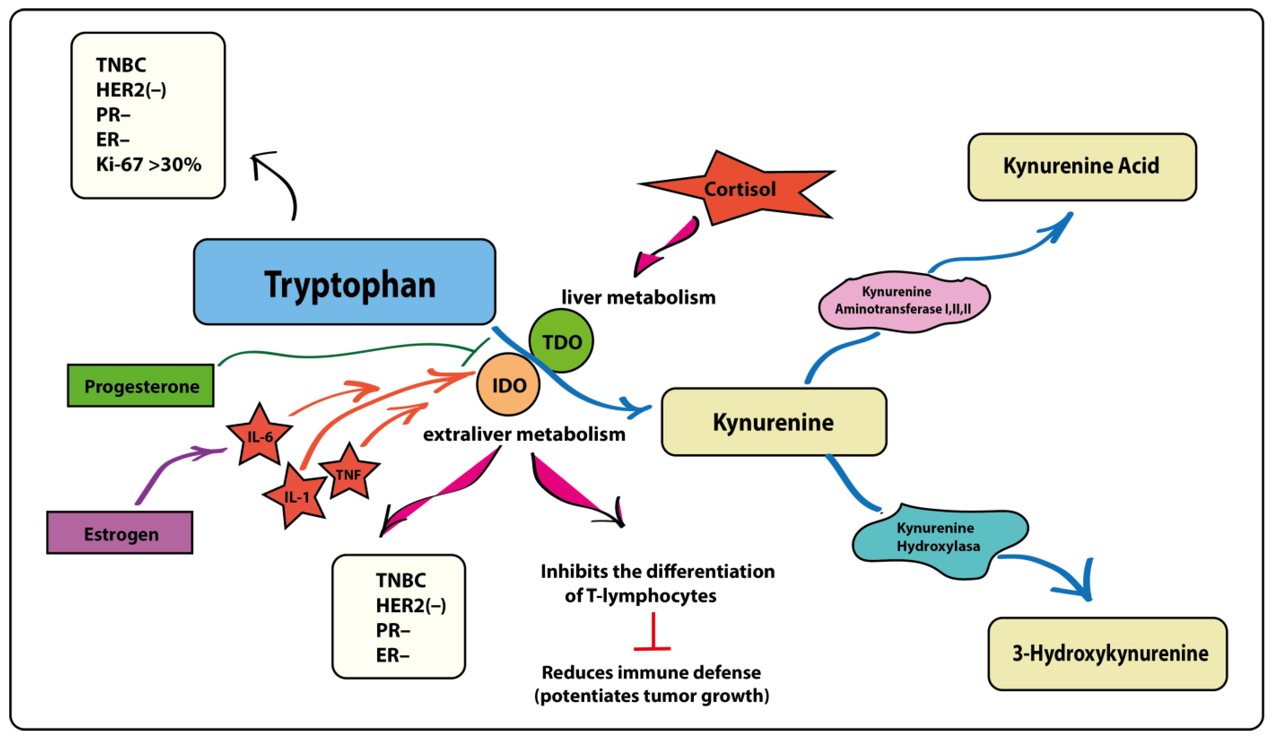 Metabolites 14 00247 g003