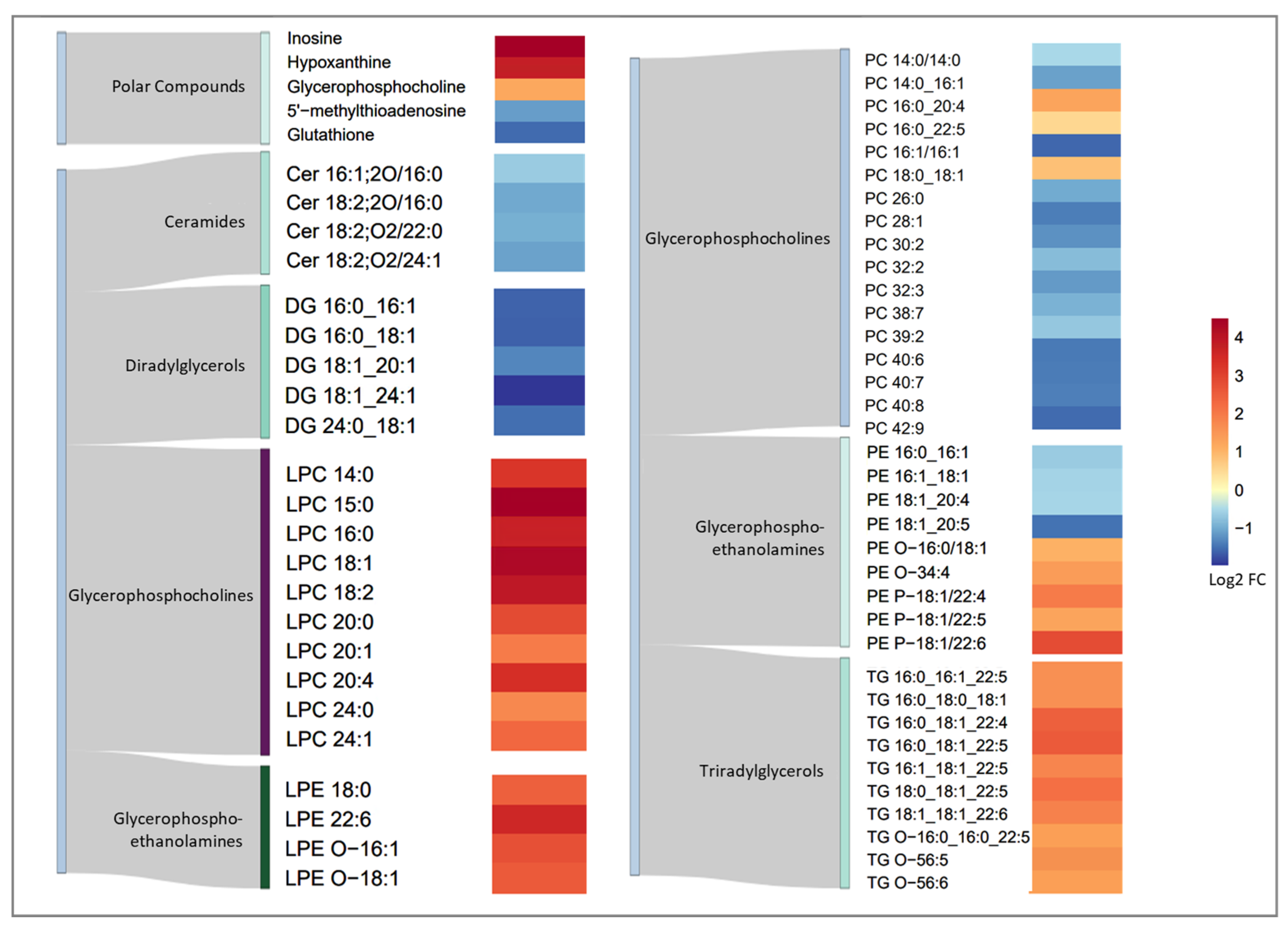 Metabolites 14 00248 g004