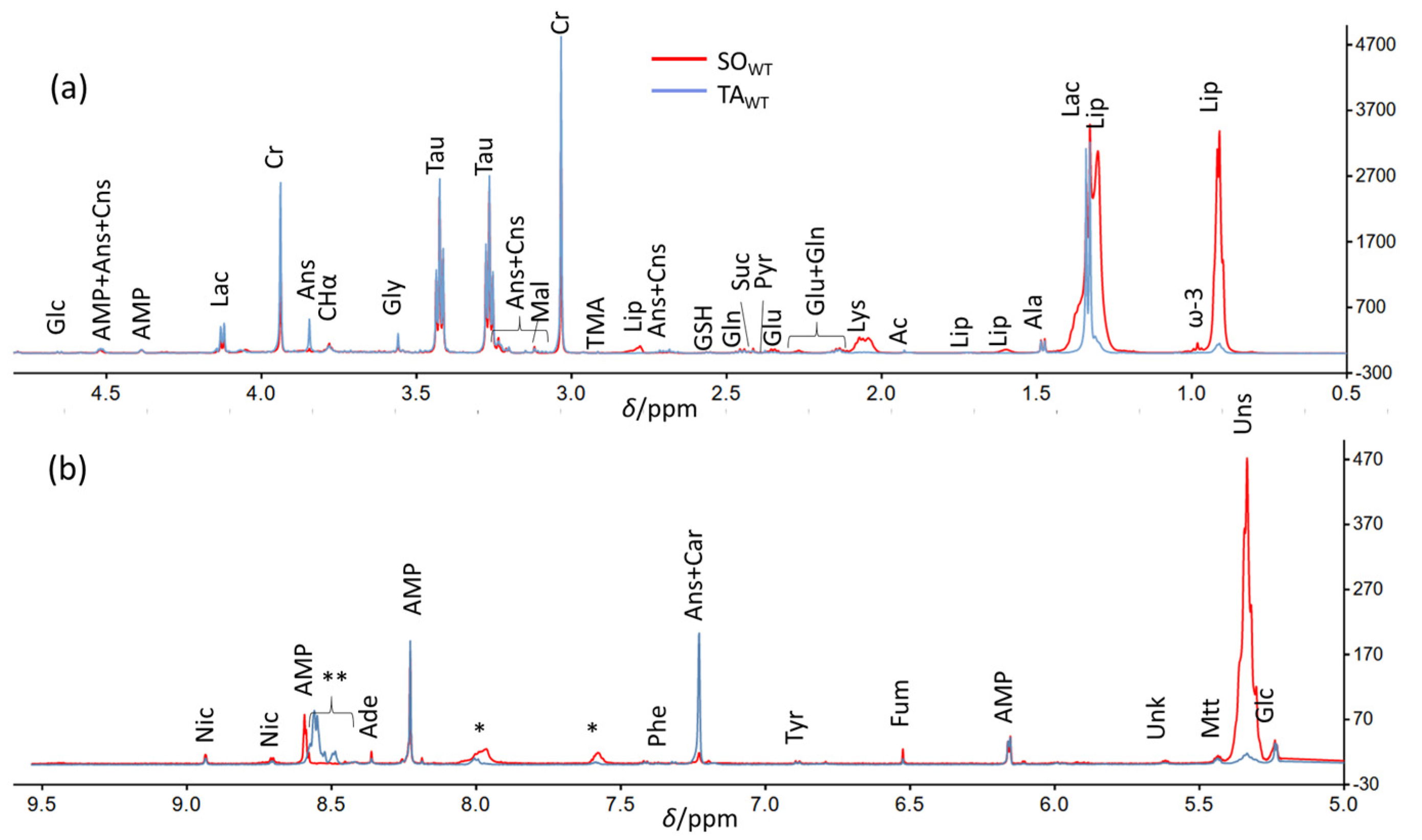 Metabolites 14 00262 g001
