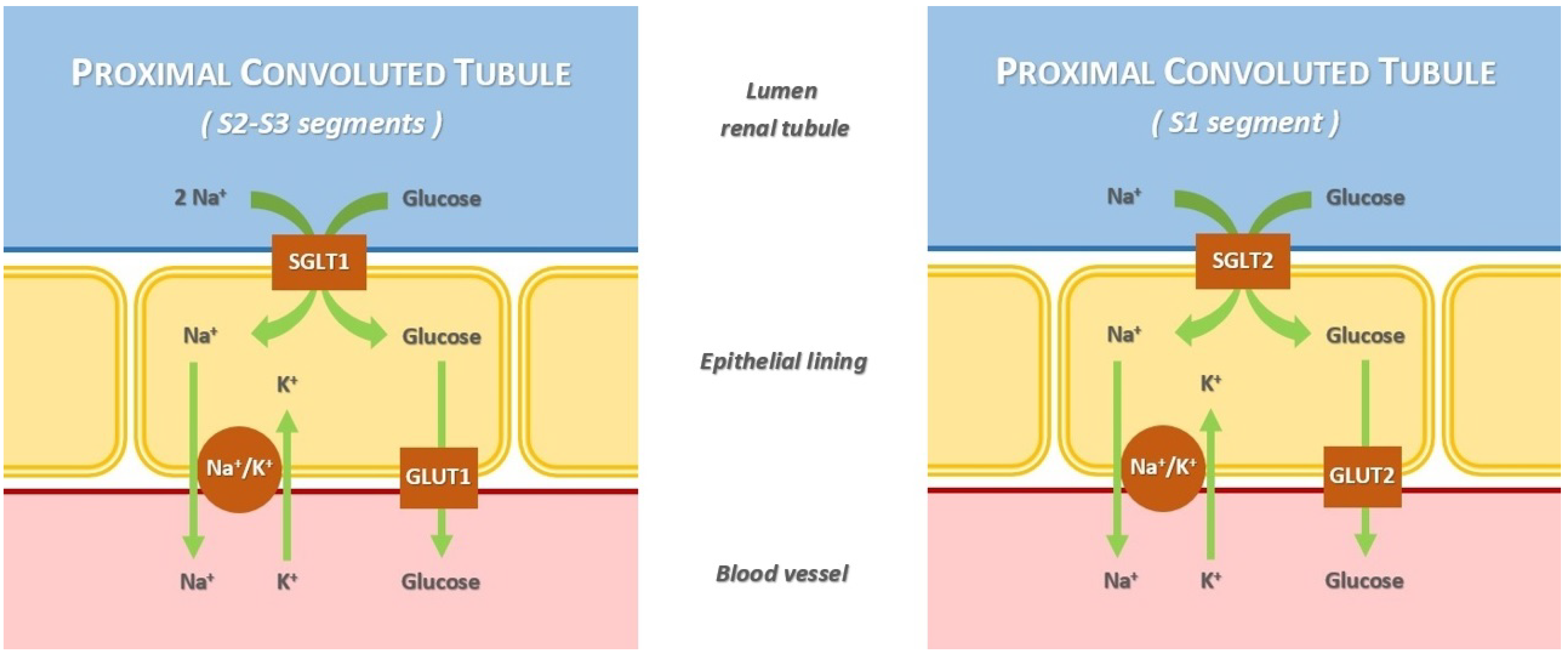 Metabolites 14 00264 g001