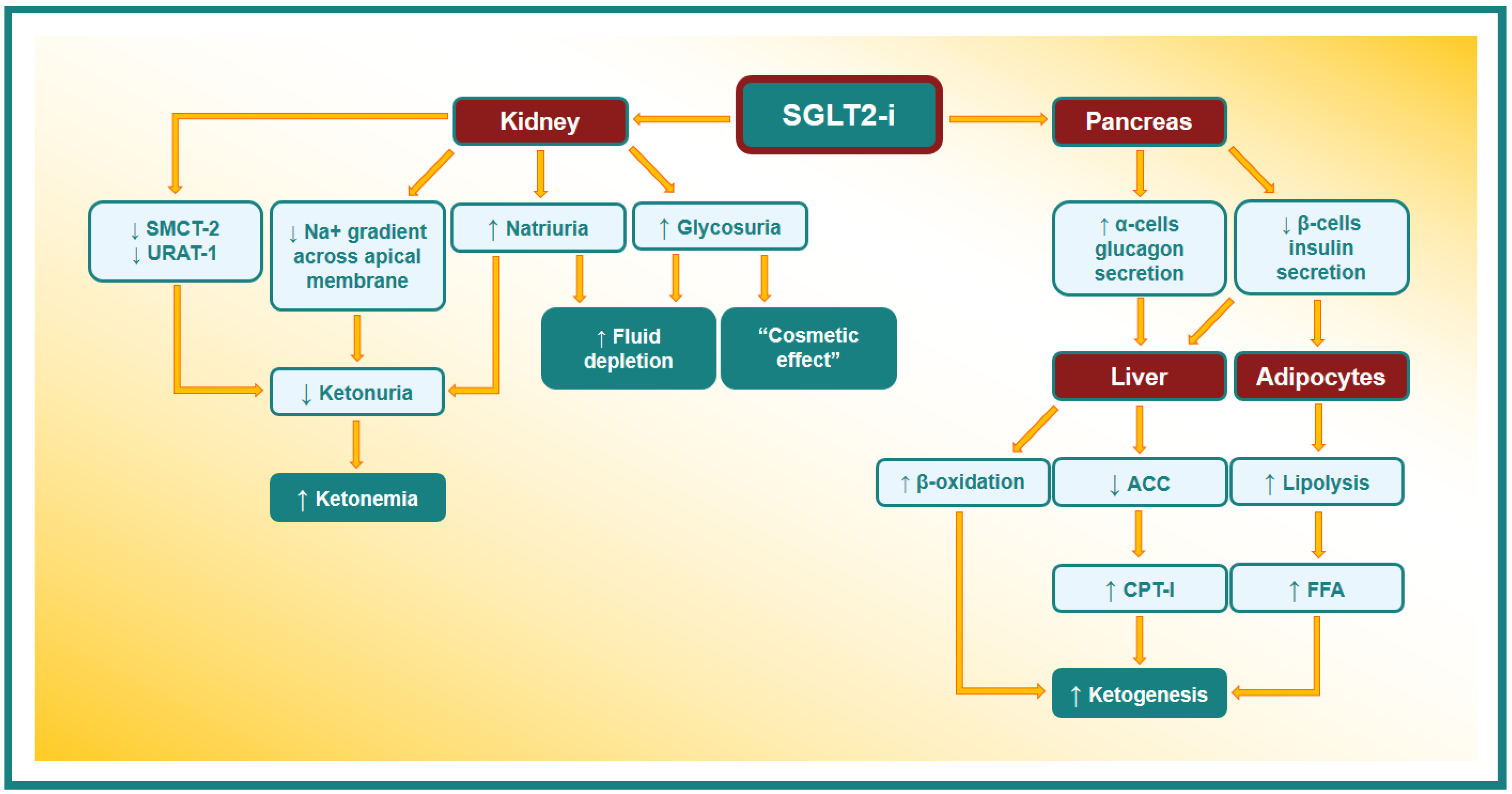 Metabolites 14 00264 g002