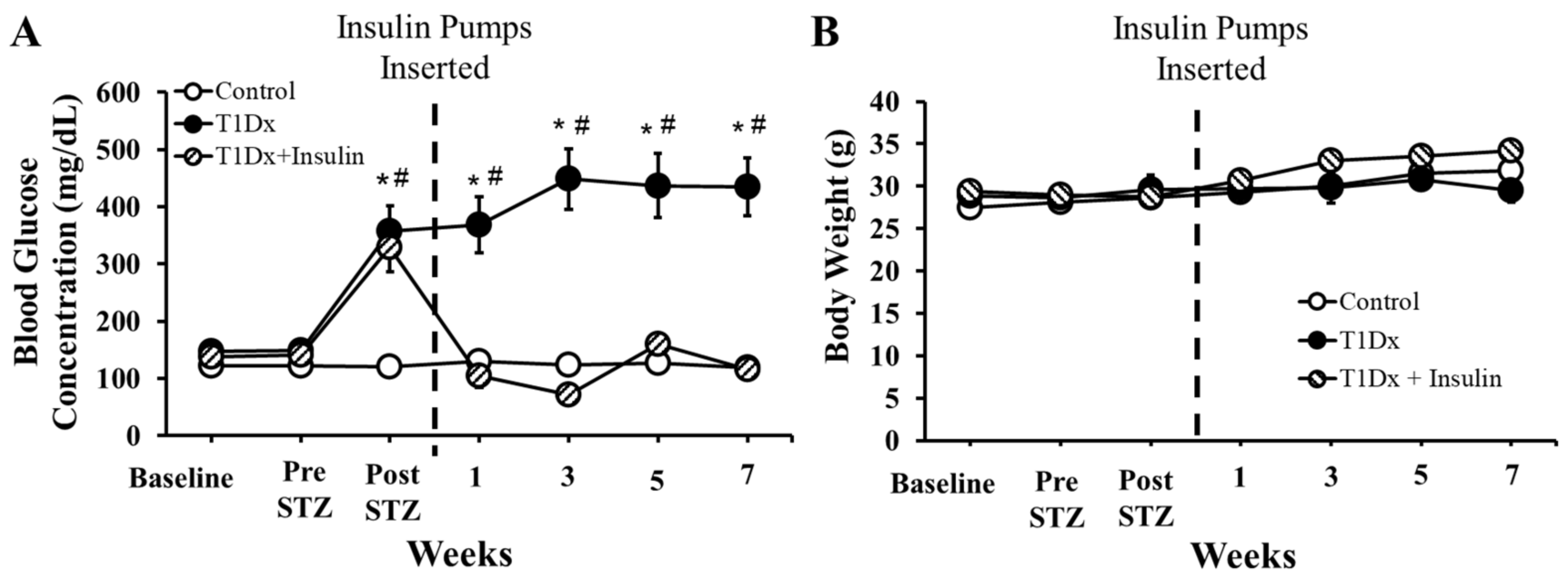 Metabolites 14 00267 g002