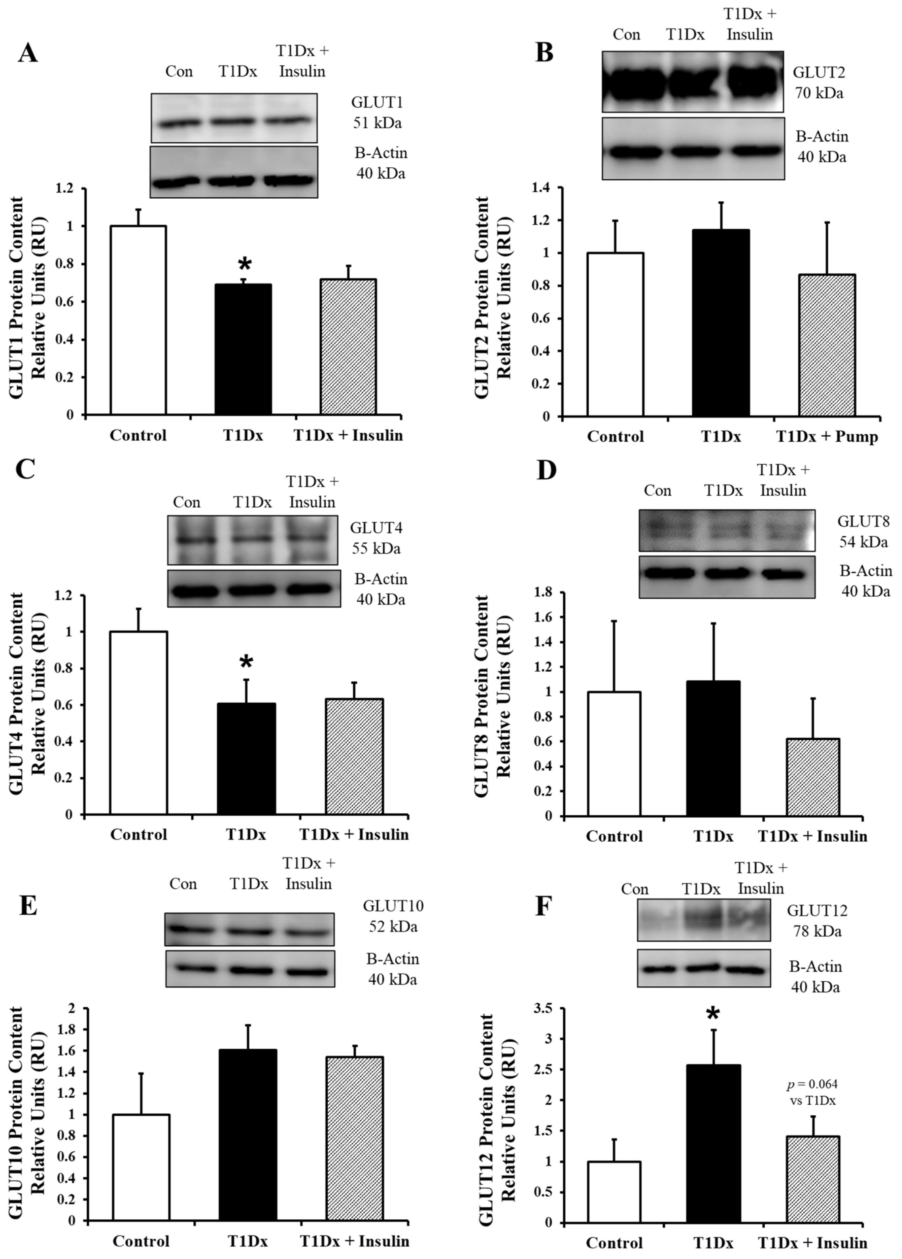 Metabolites 14 00267 g004