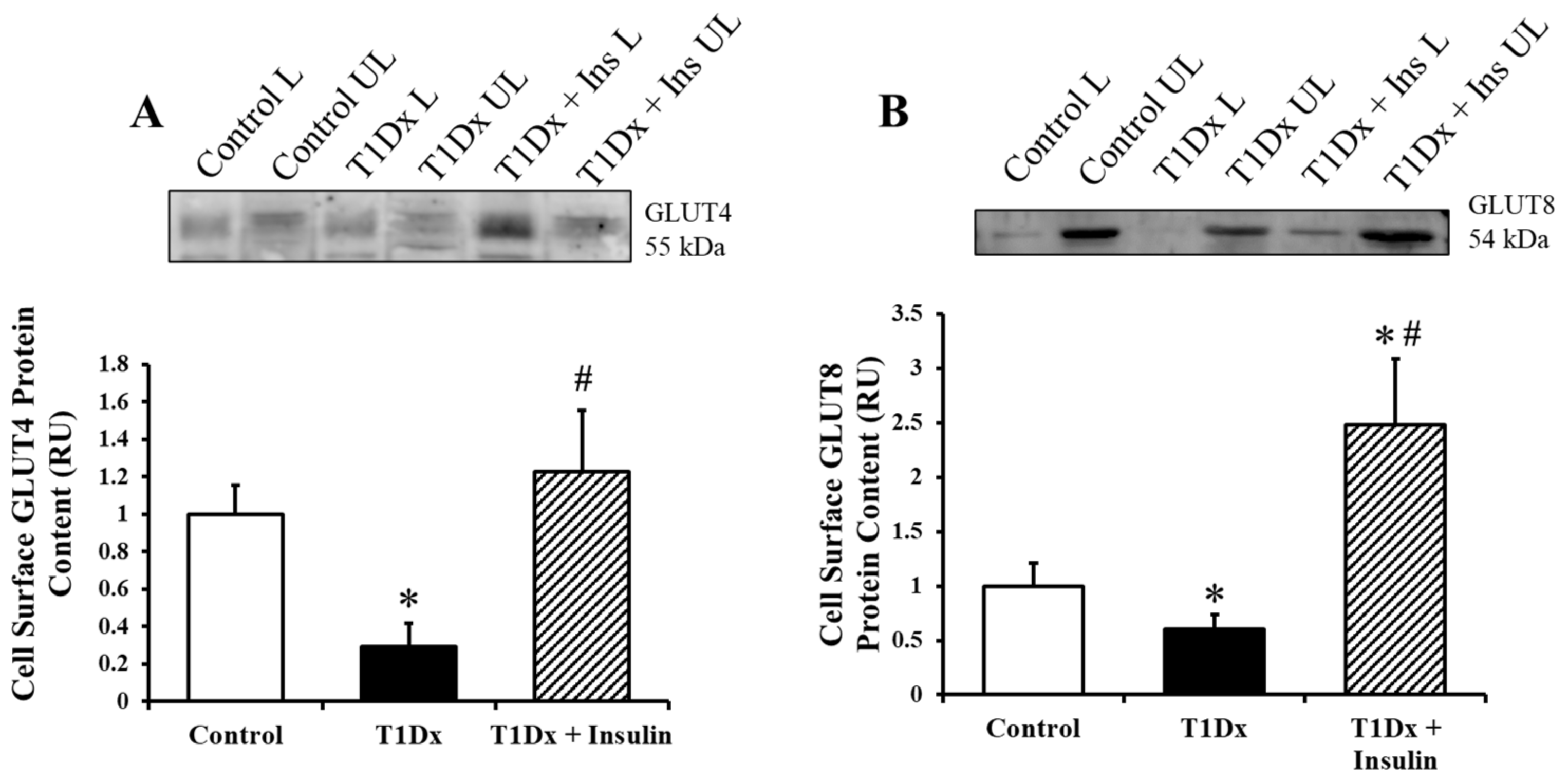 Metabolites 14 00267 g005