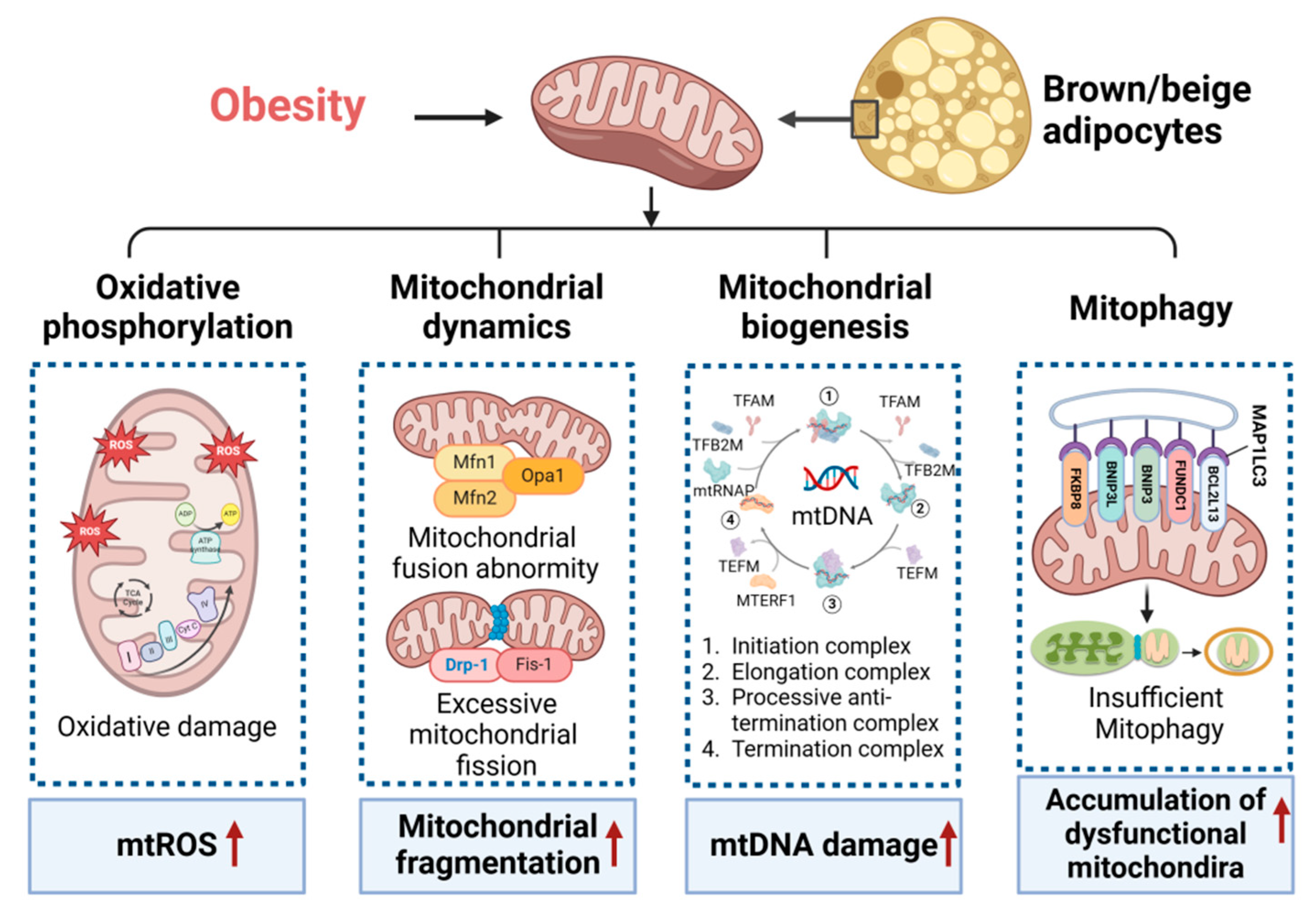Metabolites 14 00287 g001