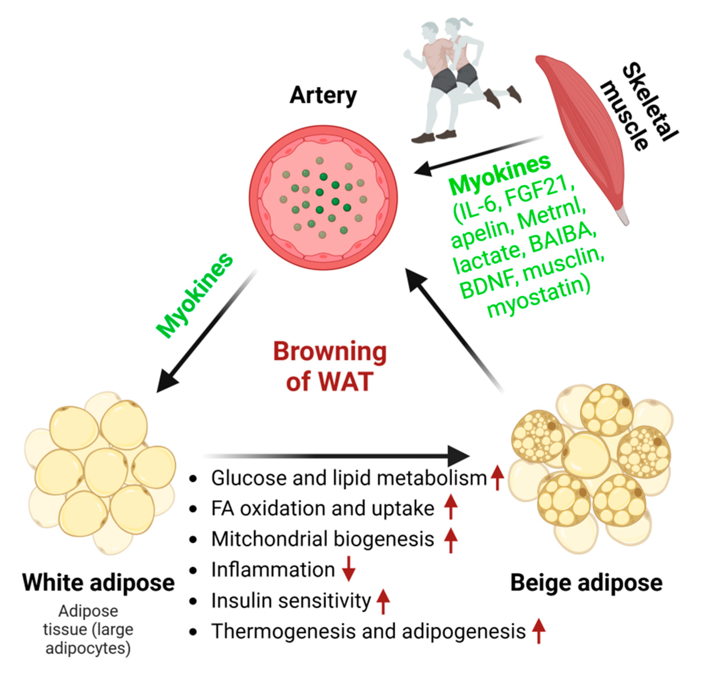 Metabolites 14 00287 g002