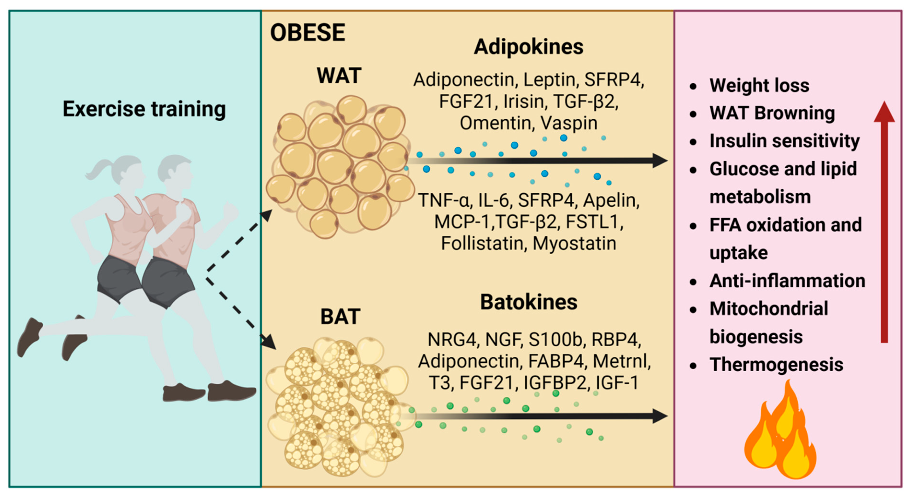 Metabolites 14 00287 g004