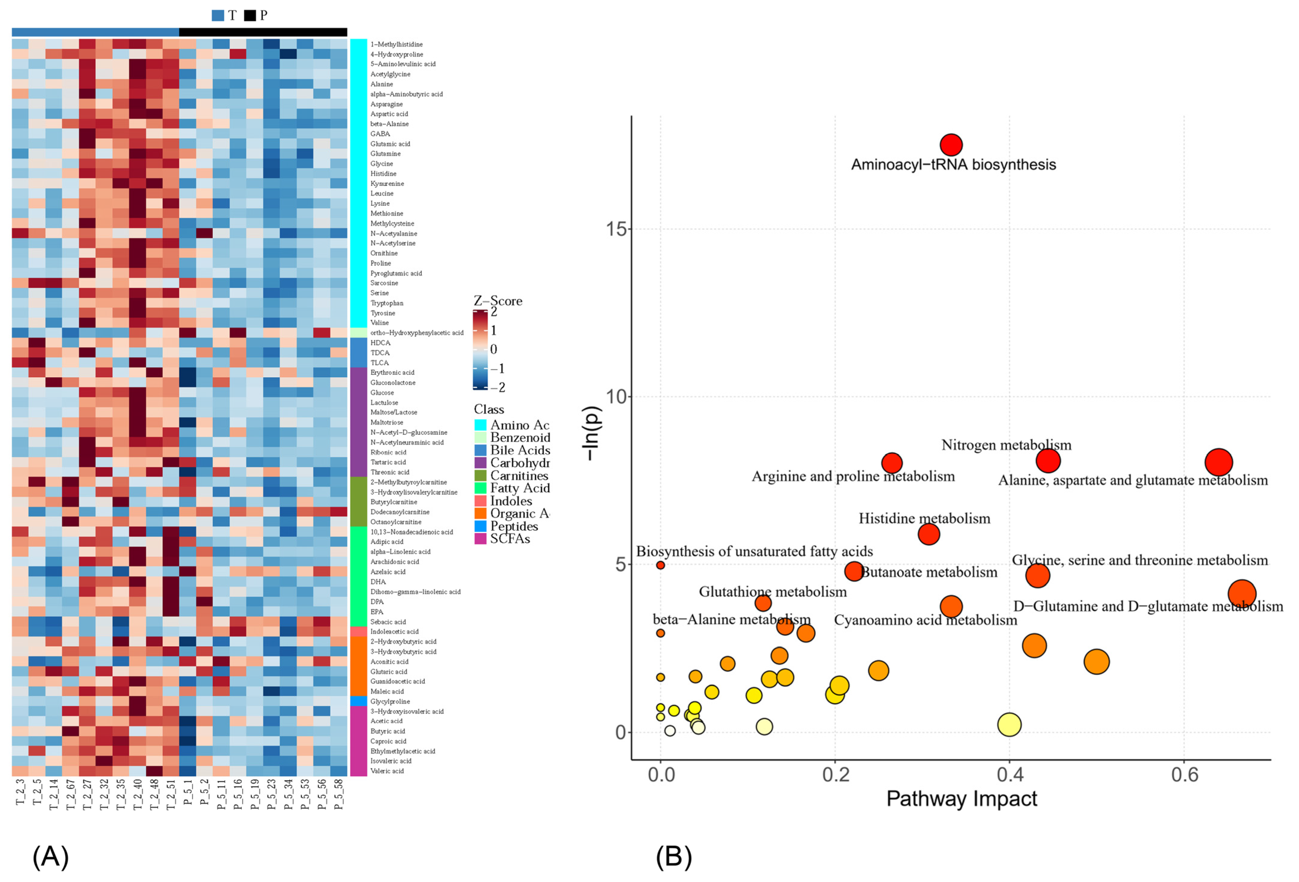 Metabolites 14 00289 g003 Metabolites 14 00289 g003
