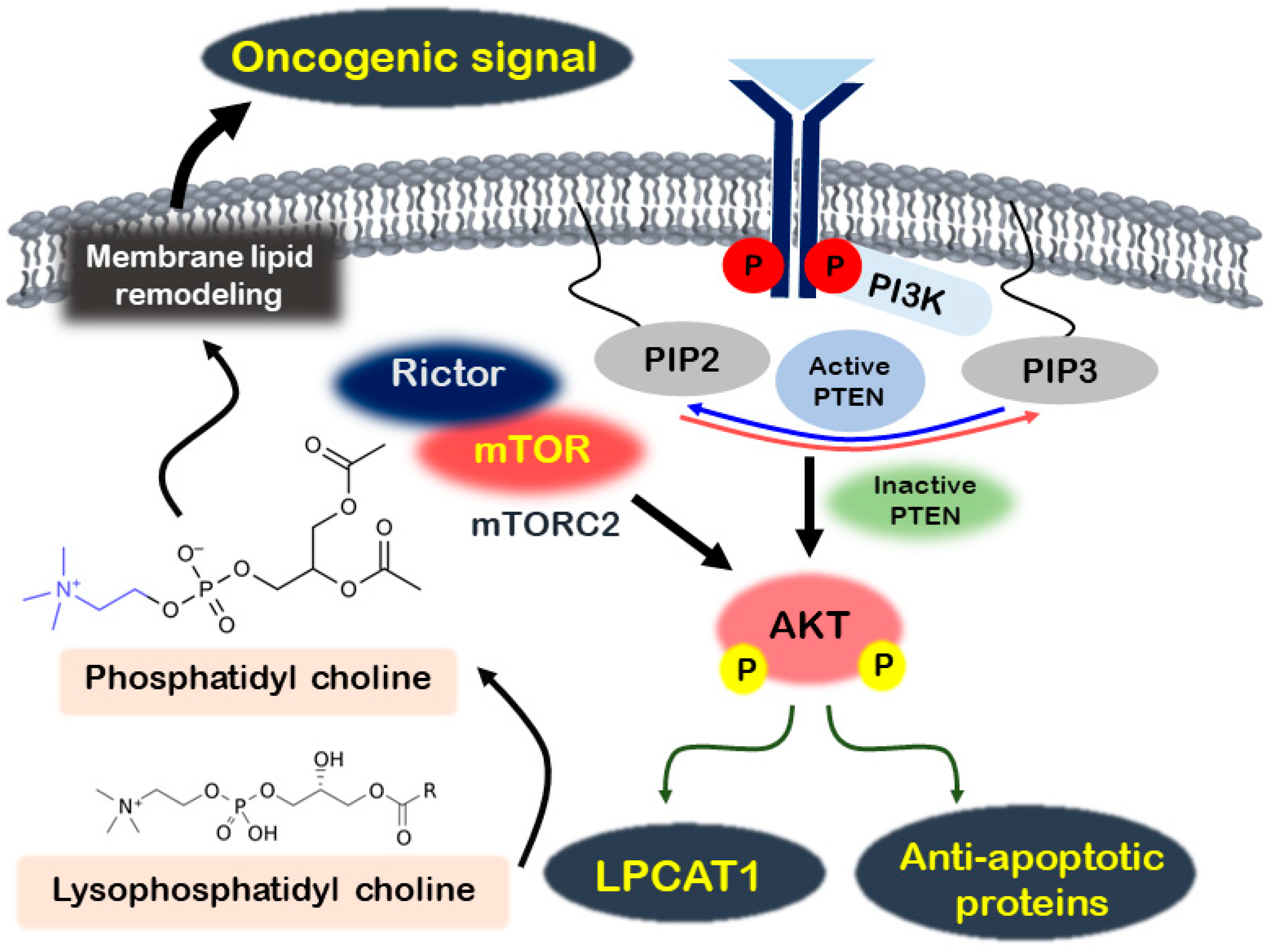 Metabolites 14 00309 g001