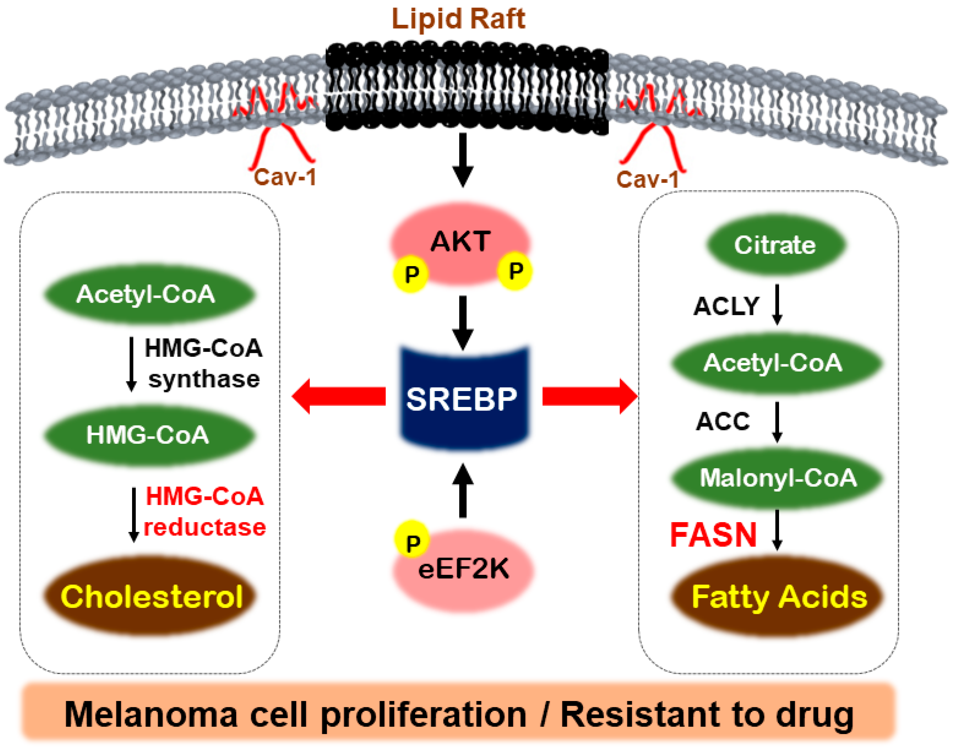 Metabolites 14 00309 g002