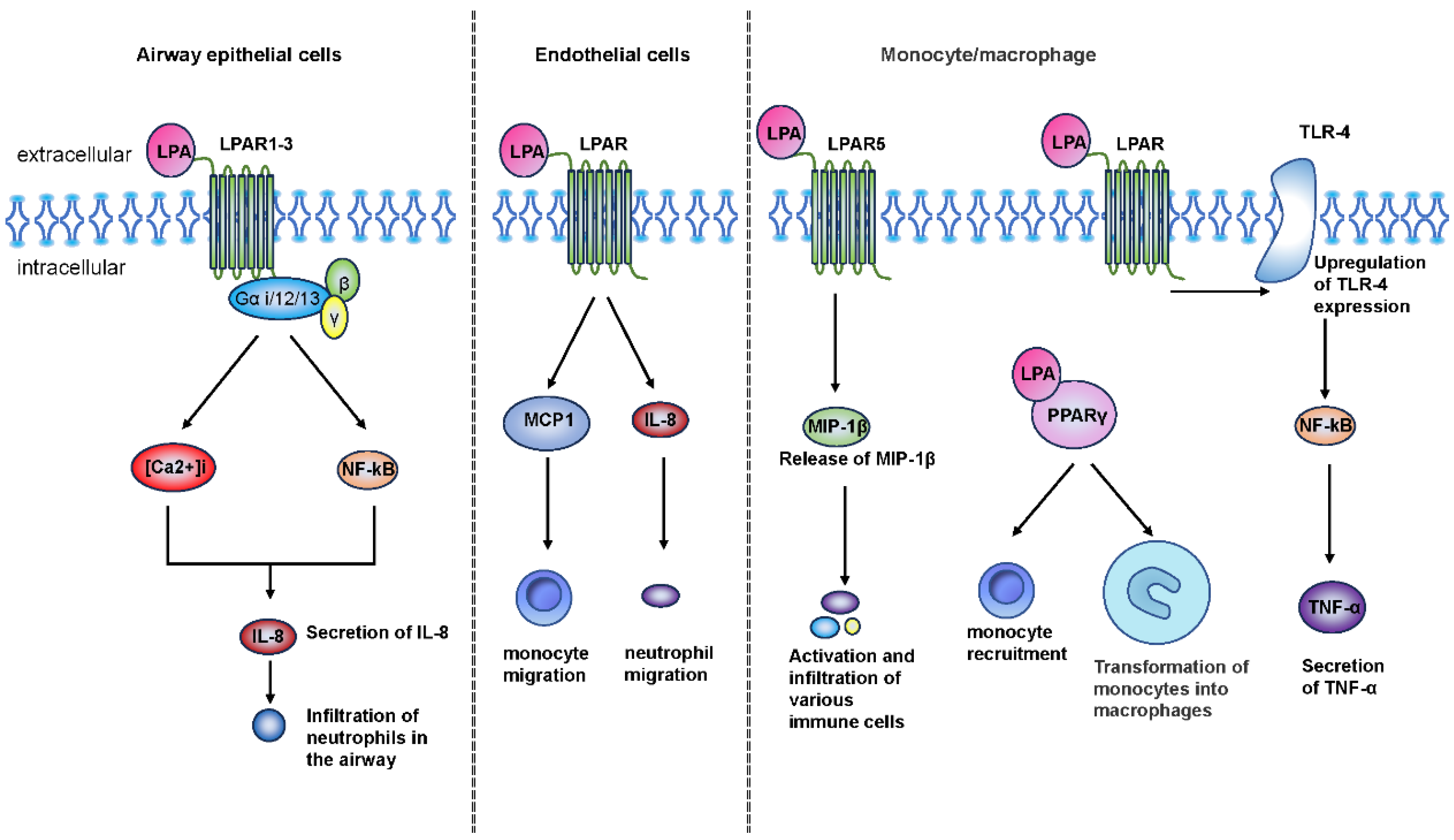 Metabolites 14 00317 g002