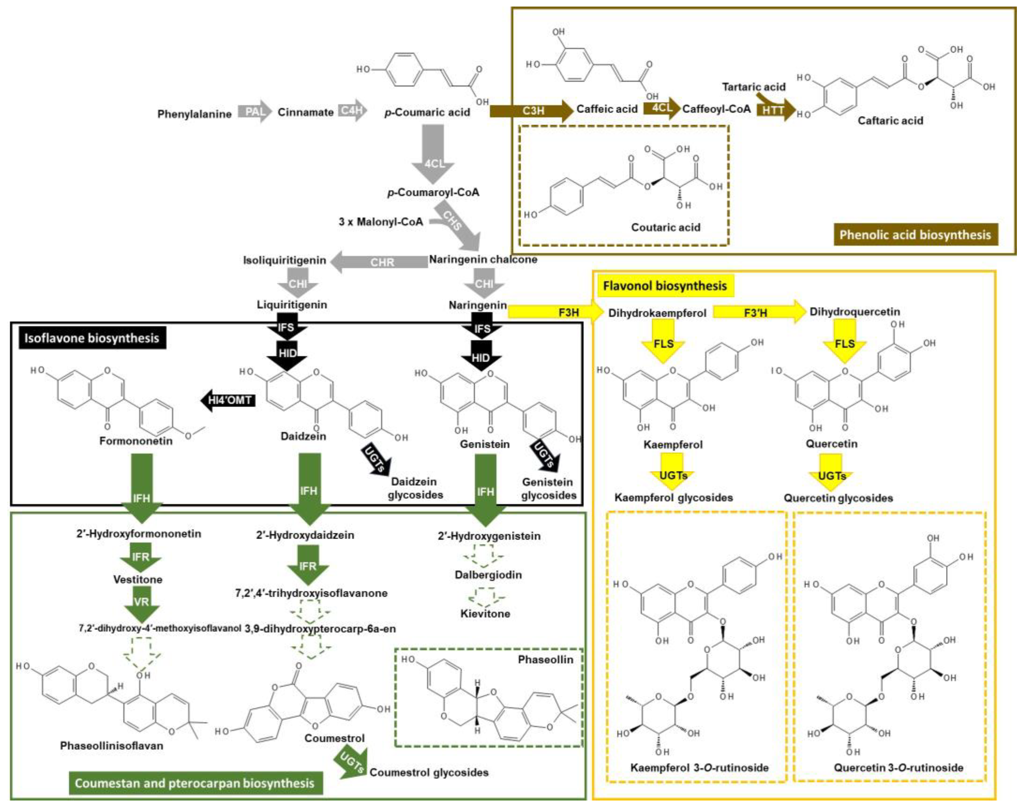 Metabolites 14 00319 g001