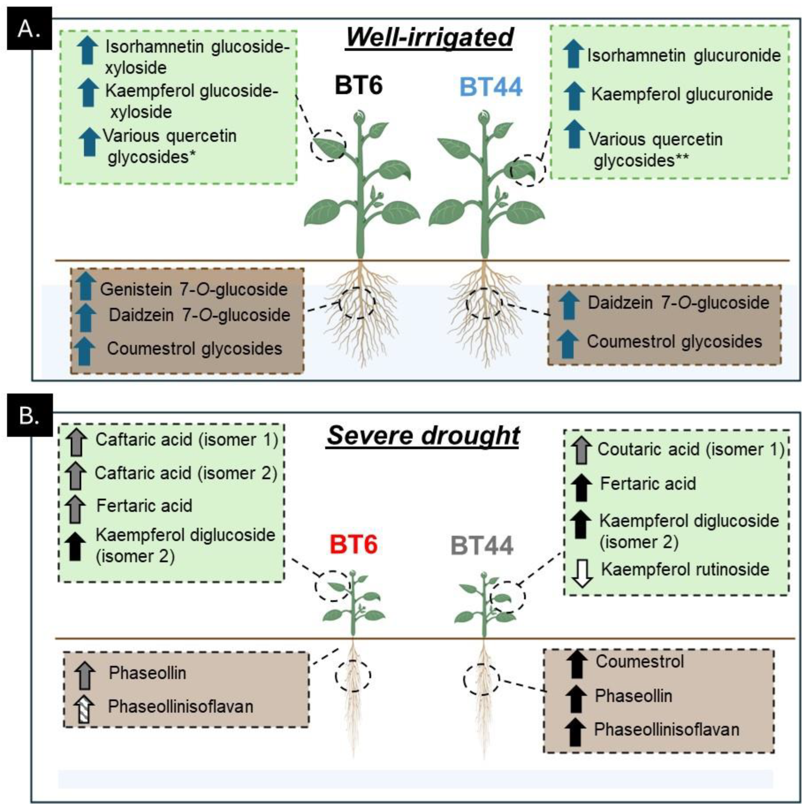 Metabolites 14 00319 g008