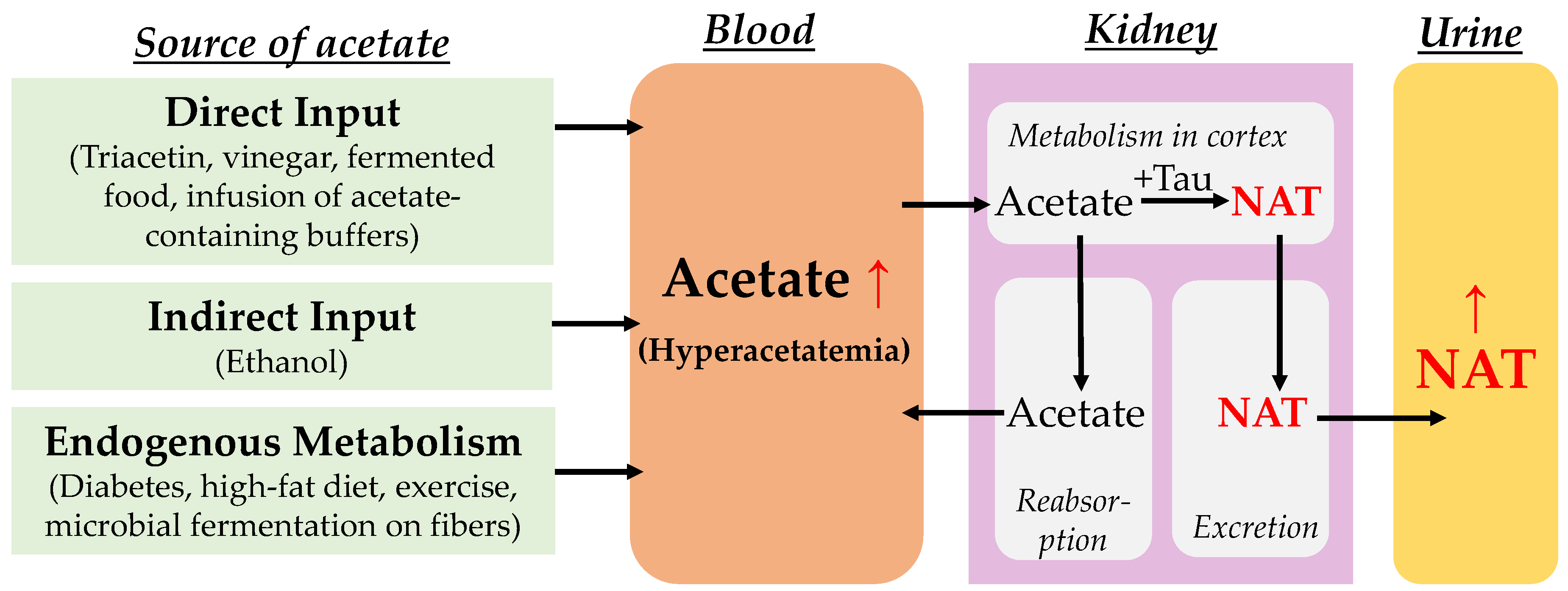 Metabolites 14 00322 g005