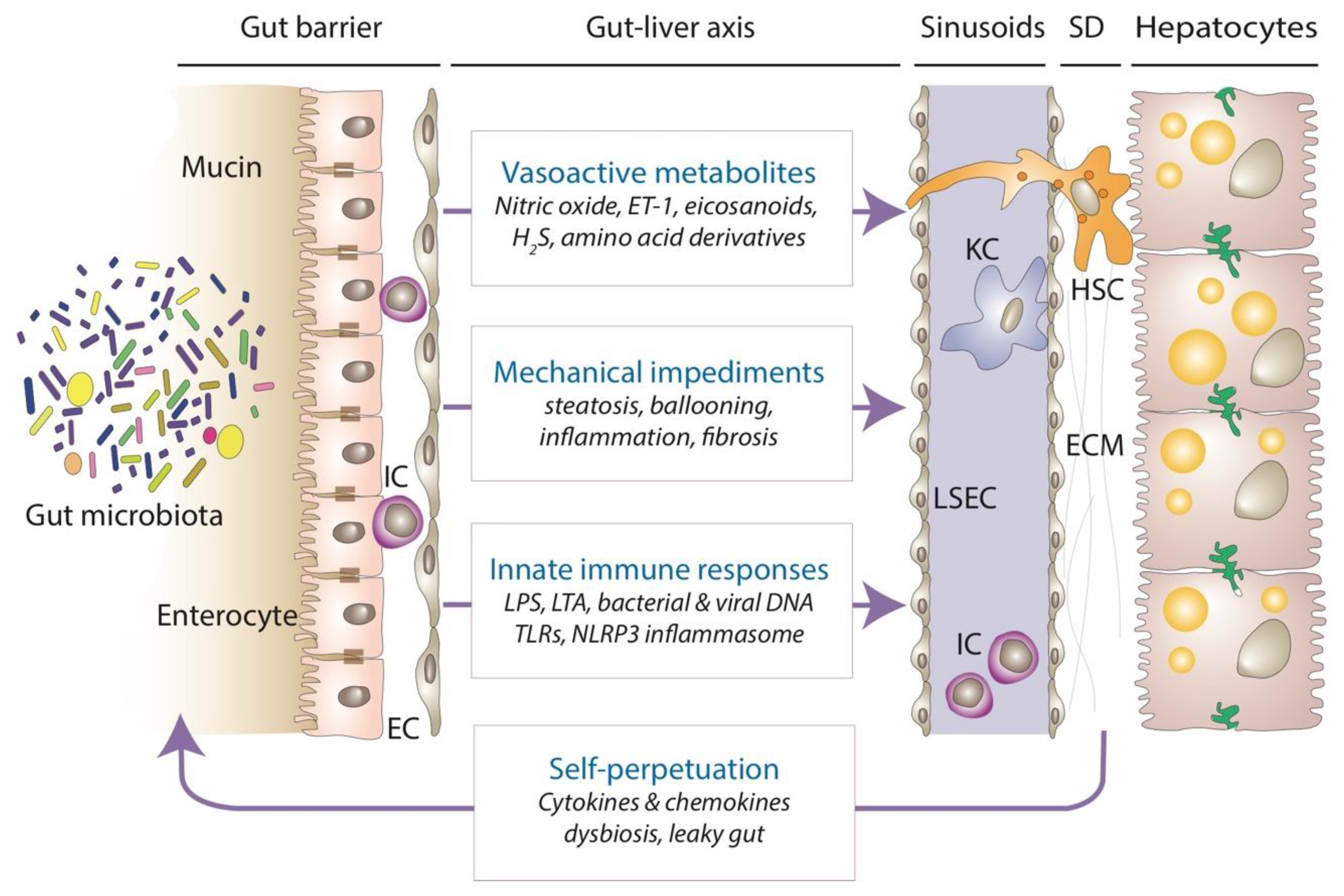Metabolites 14 00324 g002