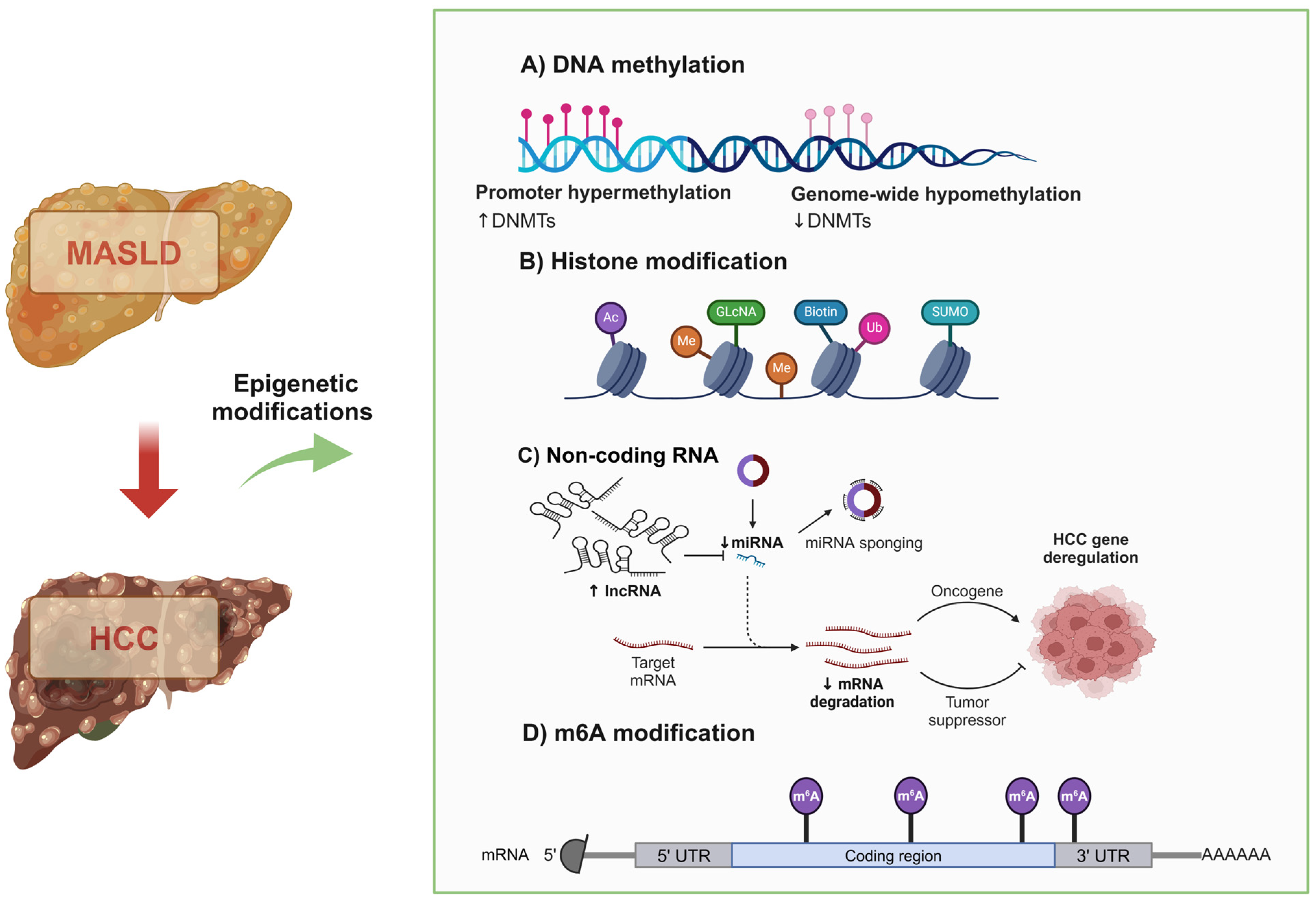 Metabolites 14 00325 g002