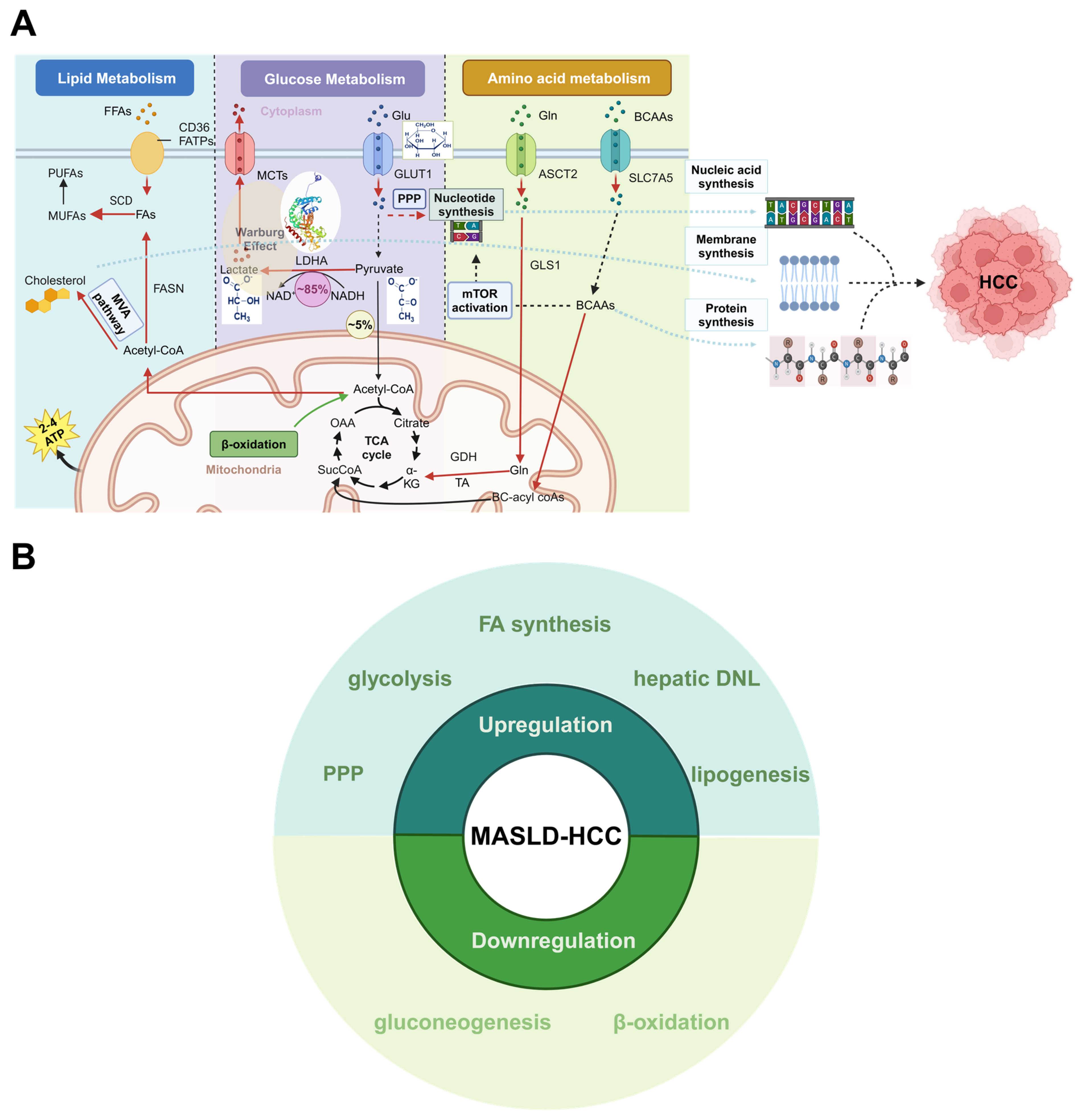 Metabolites 14 00325 g003