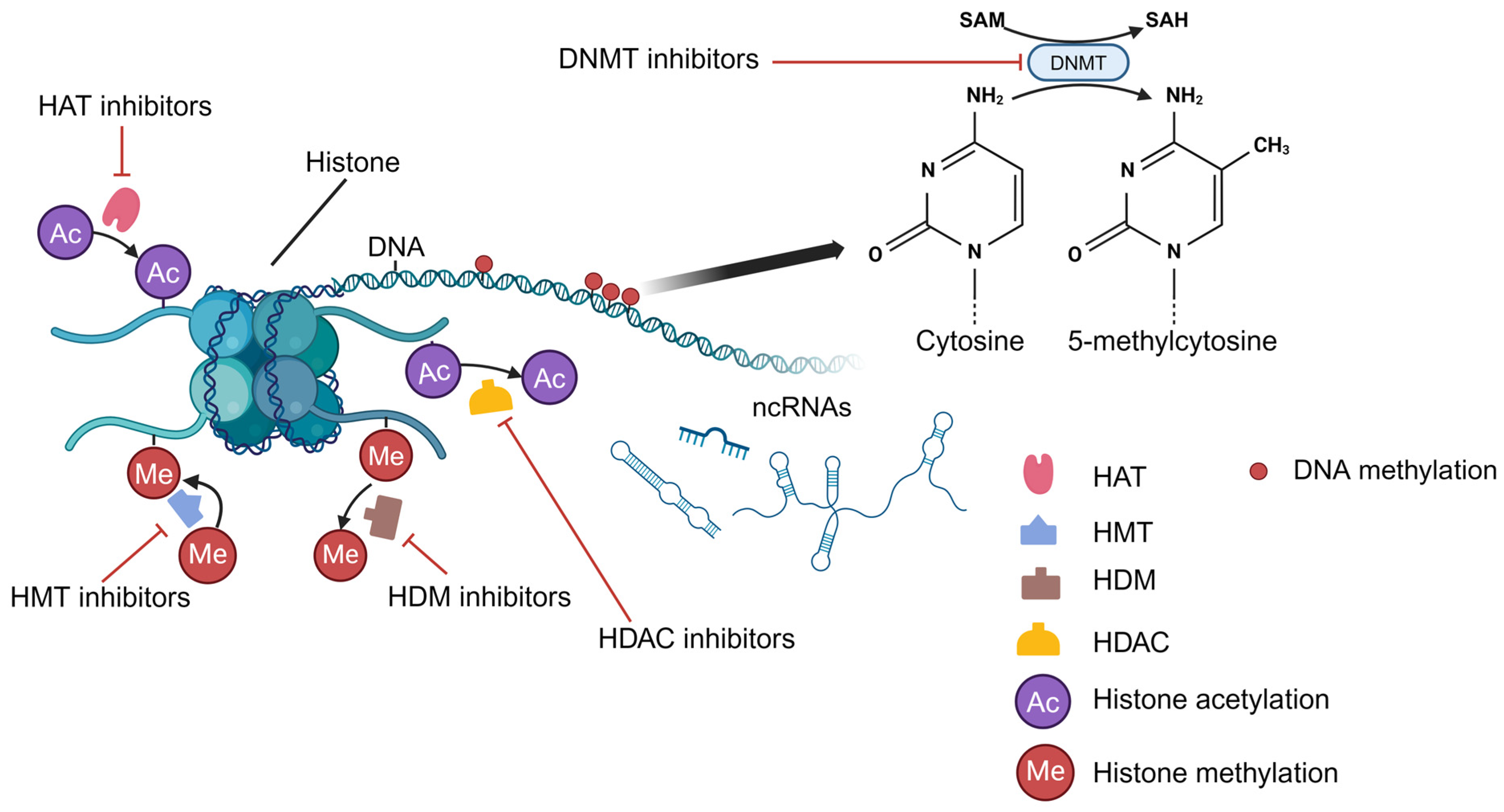 Metabolites 14 00325 g004